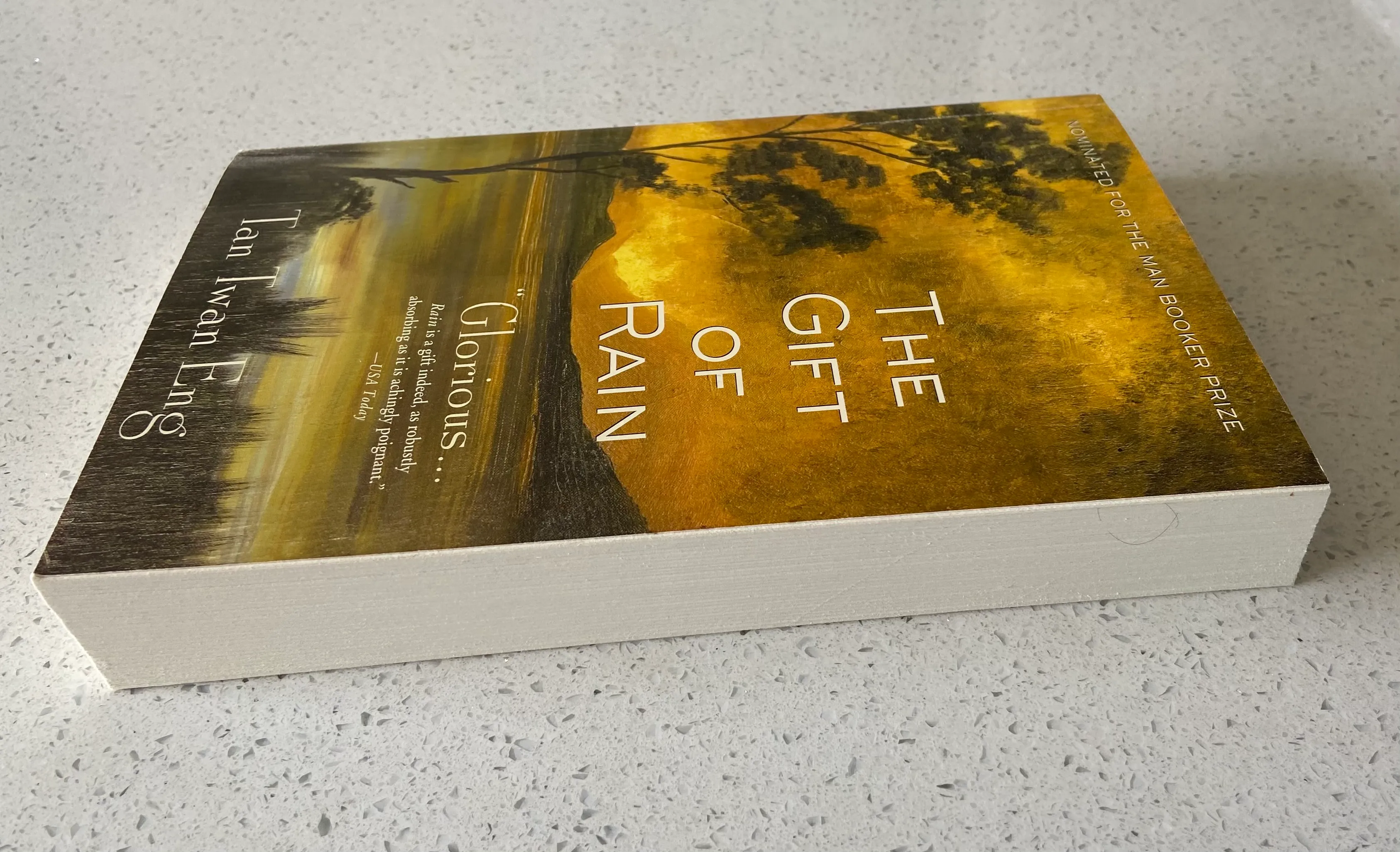 The Gift of Rain - Image 2
