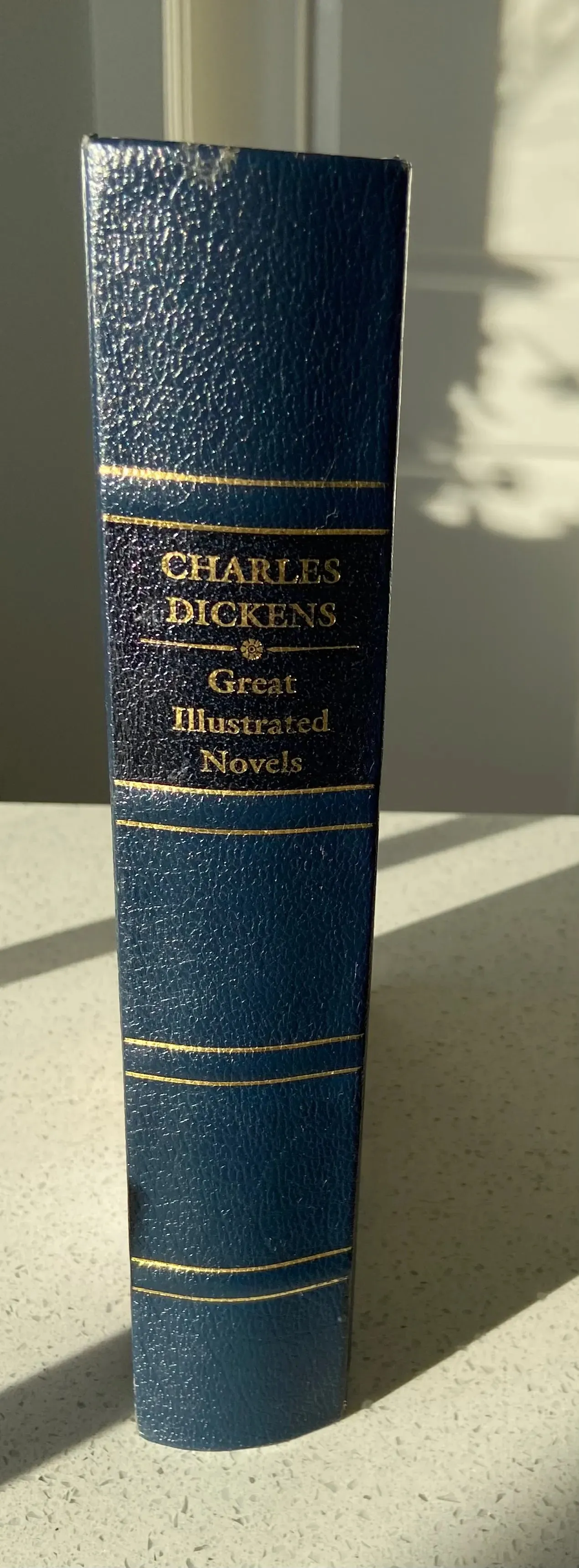 Charles Dickens: Great Expectations, David Copperfield, Oliver Twist, A Christmas Carol: Great Illustrated Novels (Collector's Library Omnibus Editions)