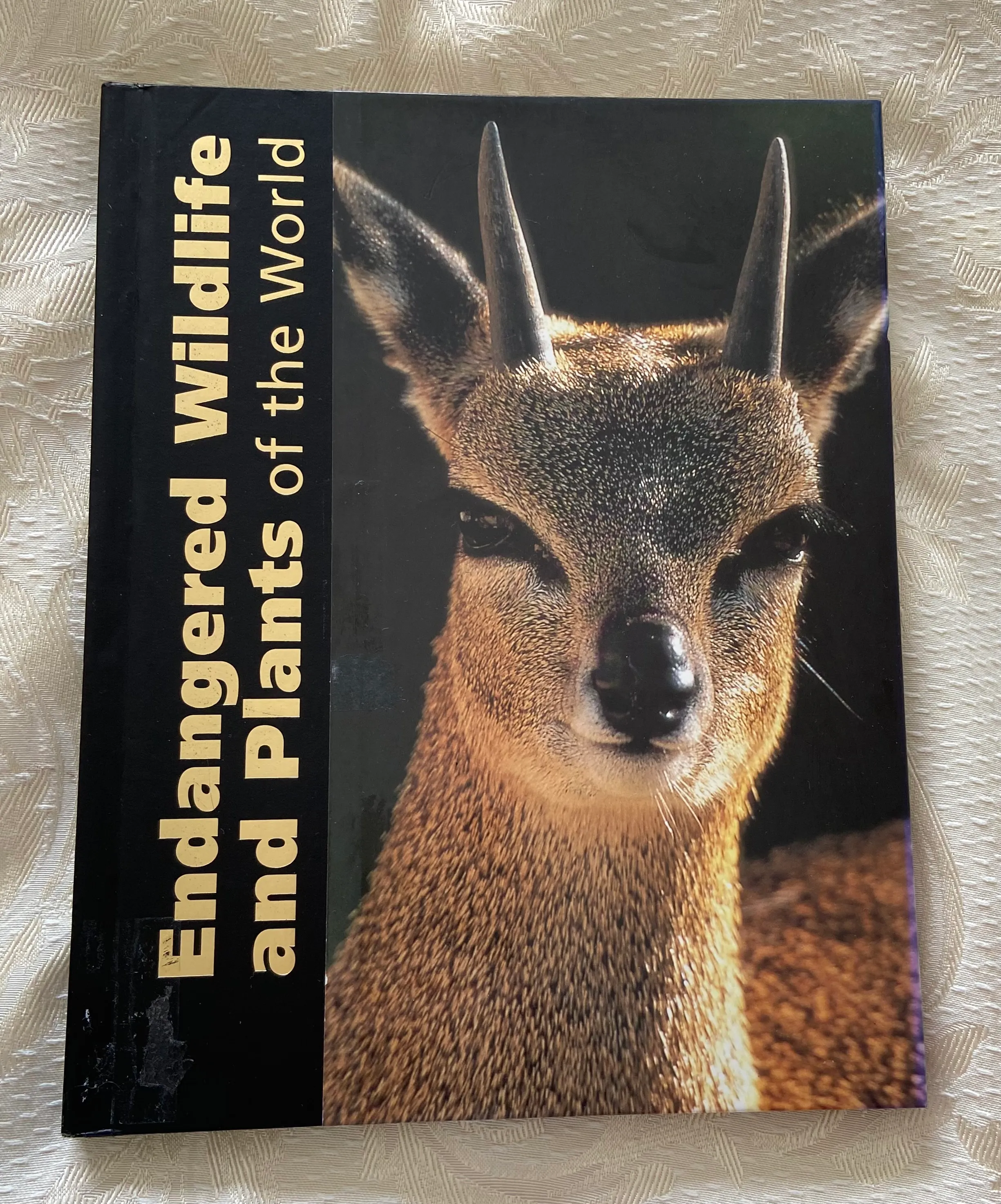 Endangered Wildlife and Plants of the World: Volume 8 (PAL-RAB)