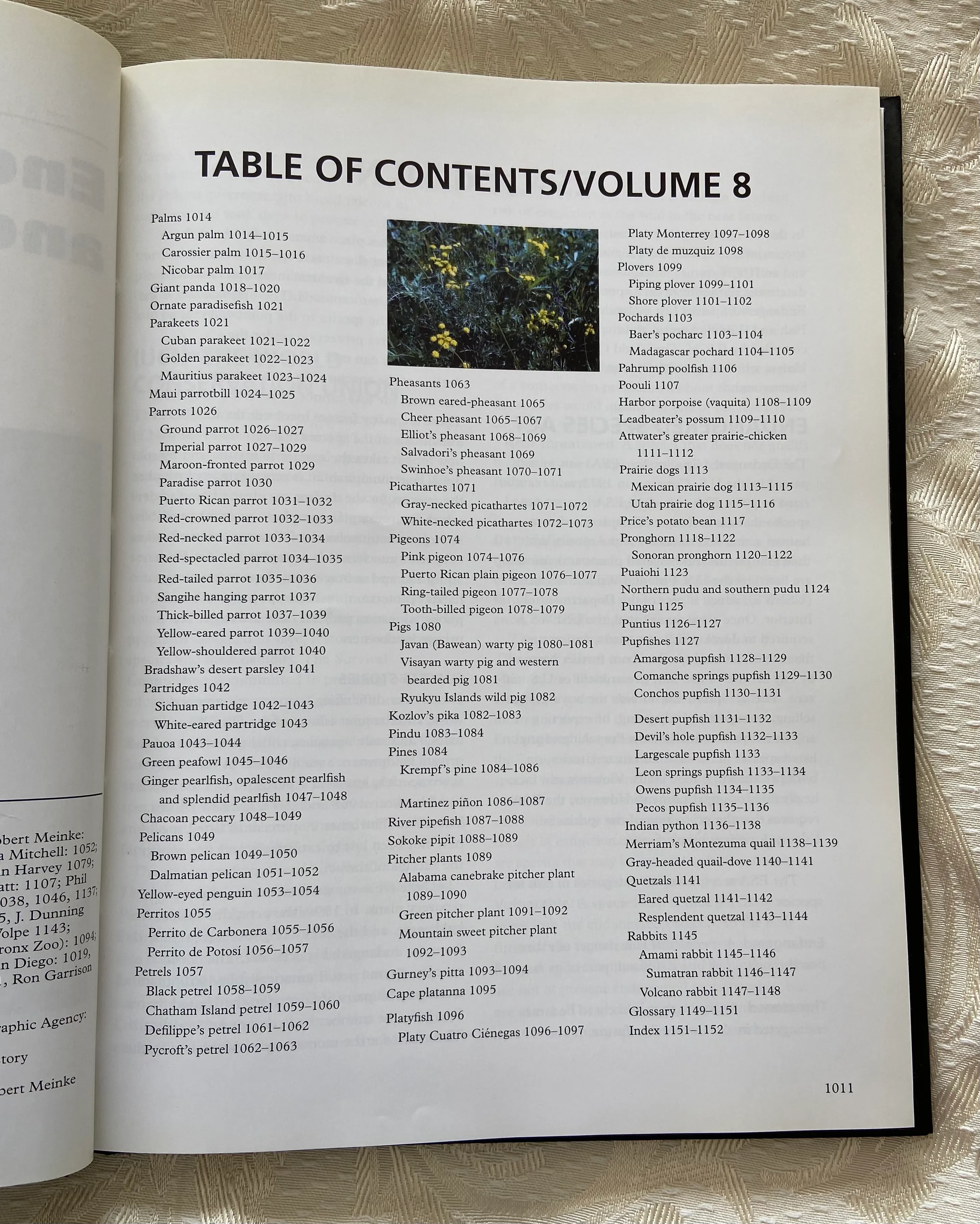 Endangered Wildlife and Plants of the World: Volume 8 (PAL-RAB) - Image 3