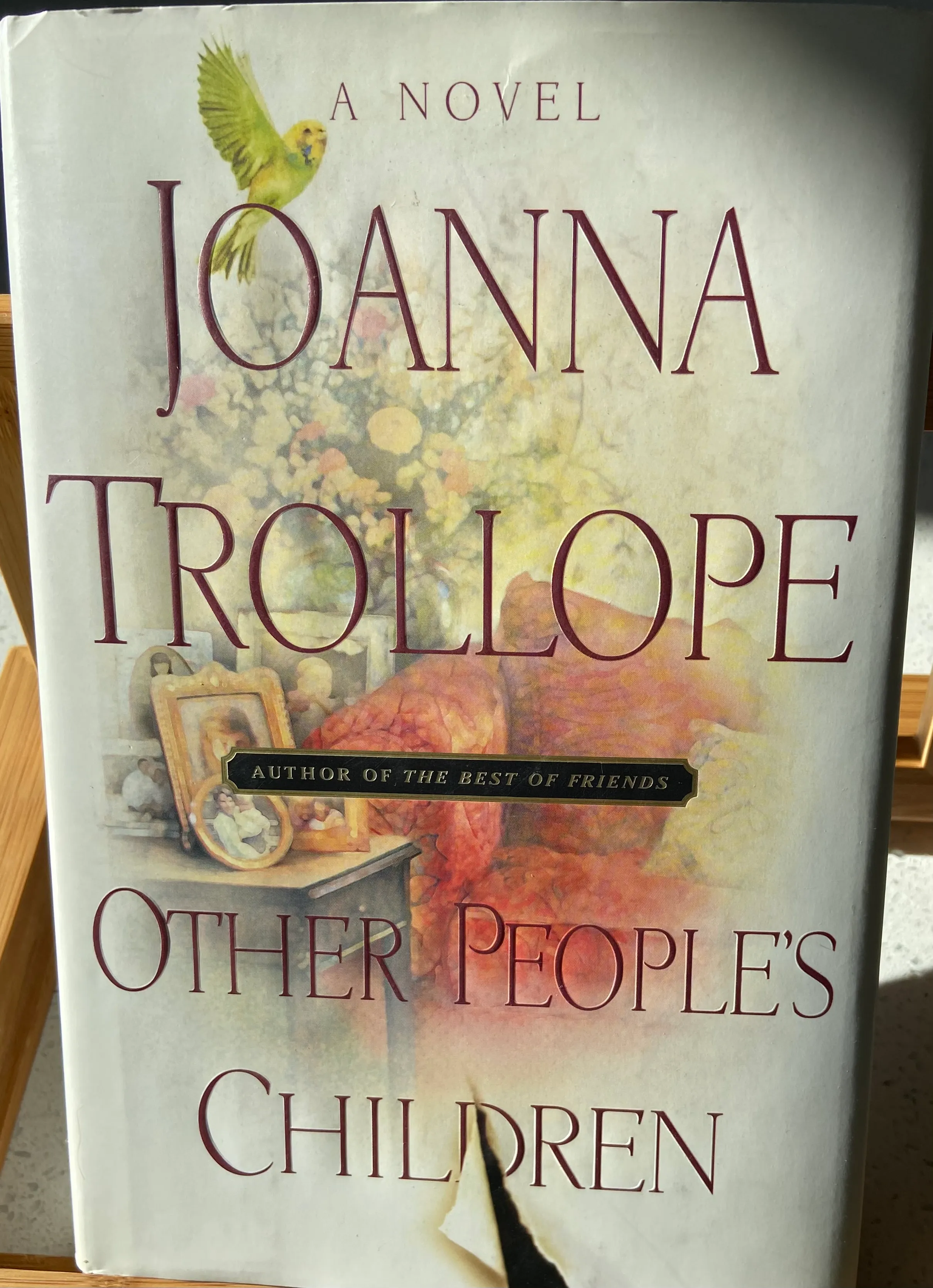 Other People's Children