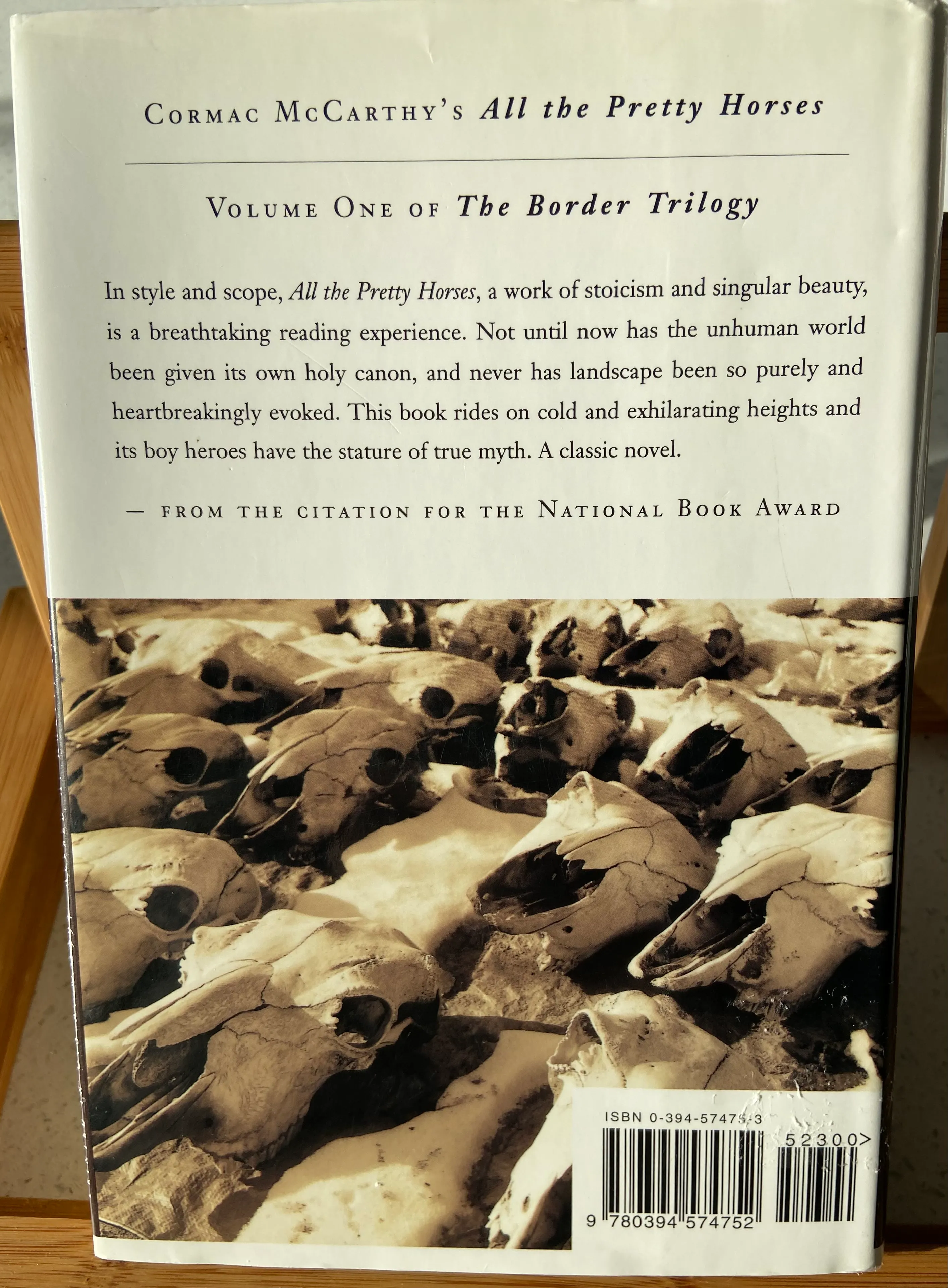 The Crossing (The Border Trilogy) - Image 2