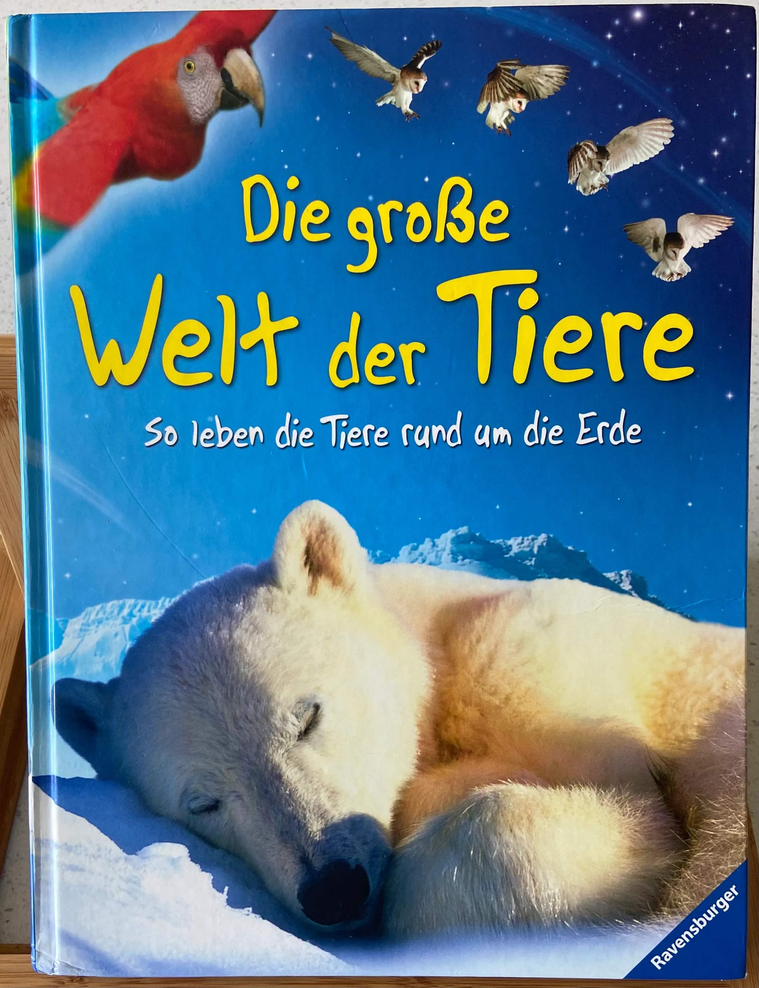Die große Welt der Tiere: So leben die Tiere rund um die Erde