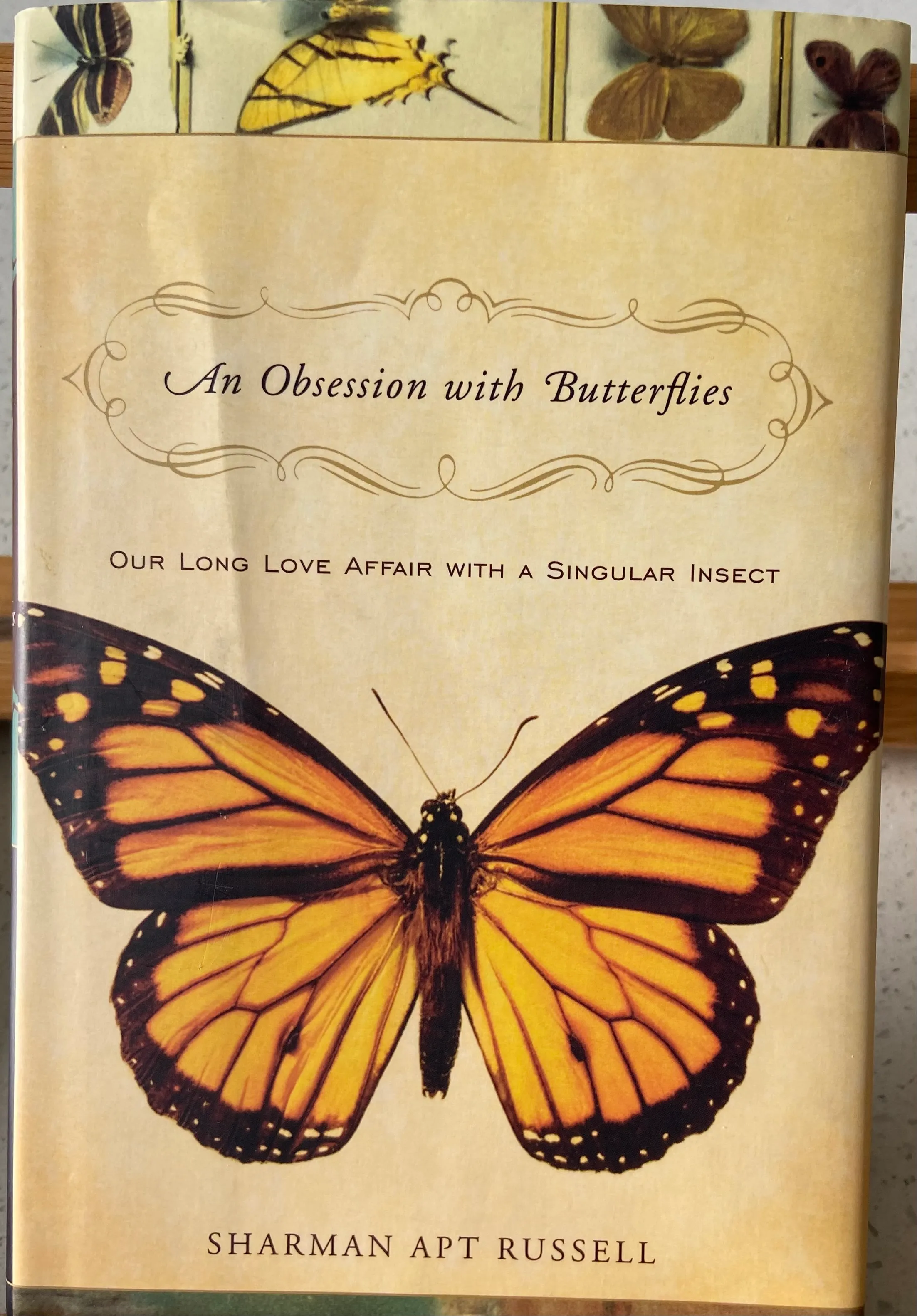 An Obsession With Butterflies: Our Long Love Affair With A Singular Insect