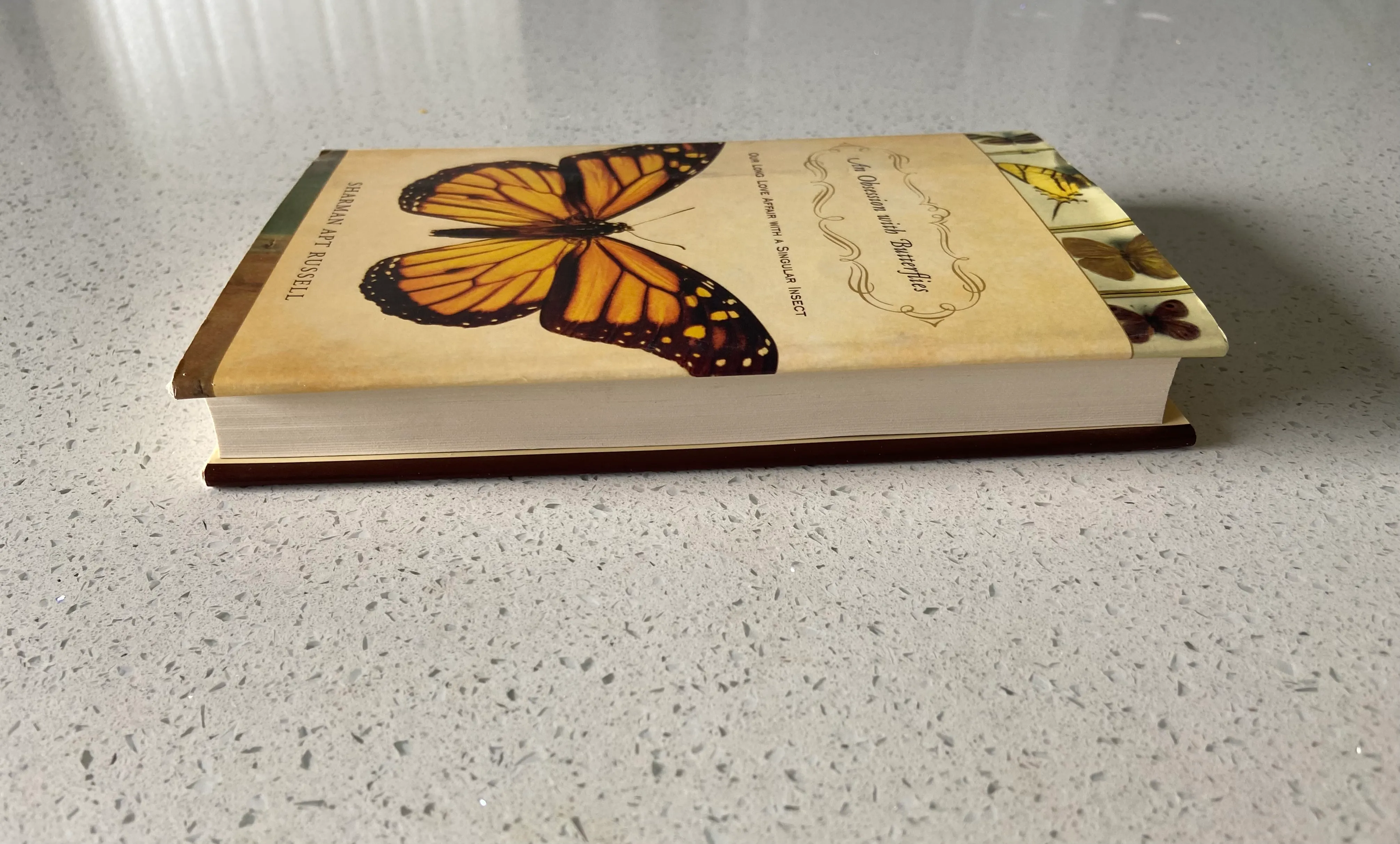 An Obsession With Butterflies: Our Long Love Affair With A Singular Insect - Image 3