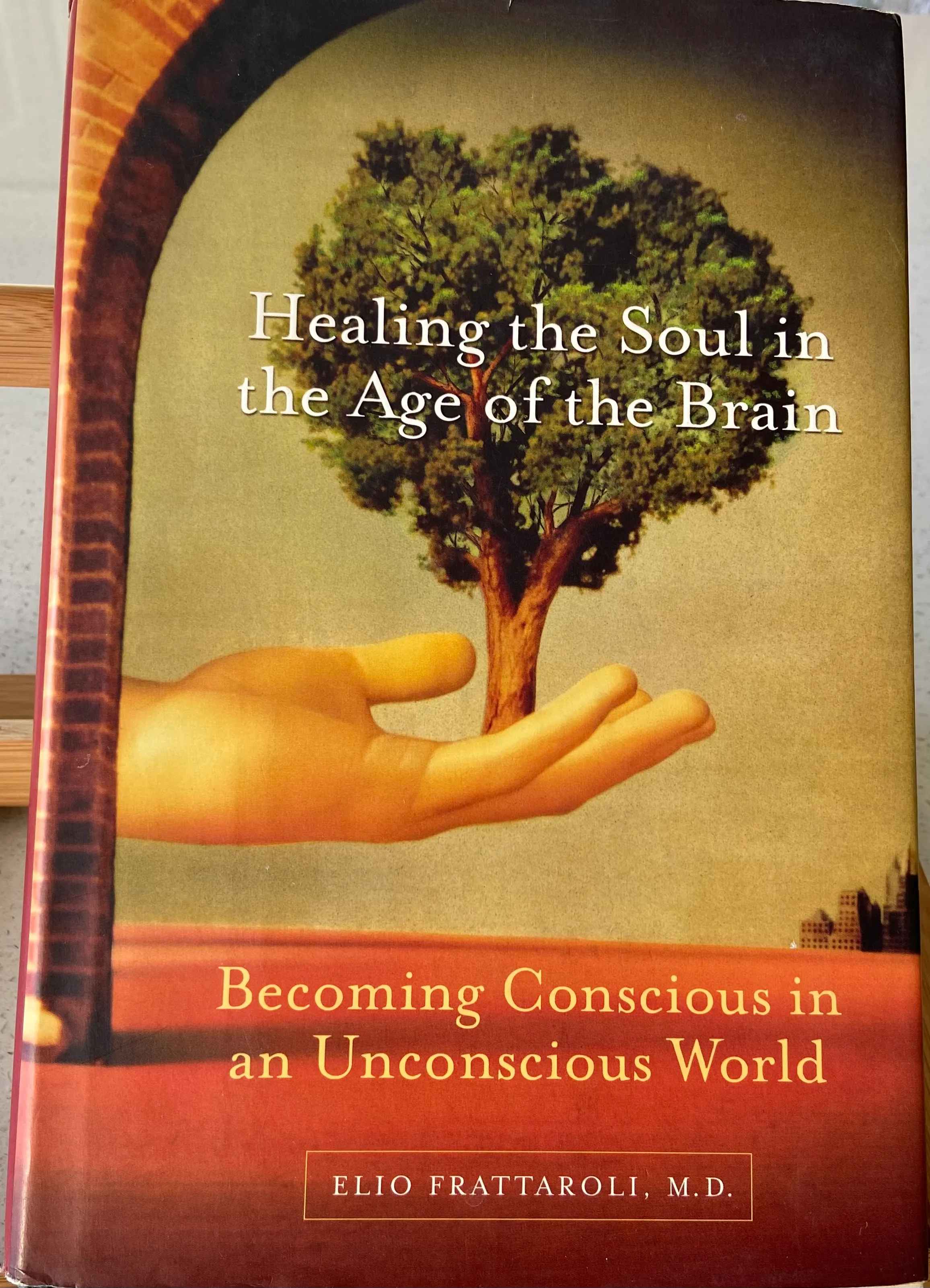 Healing the Soul in the Age of the Brain: Becoming Conscious in an Unconscious World