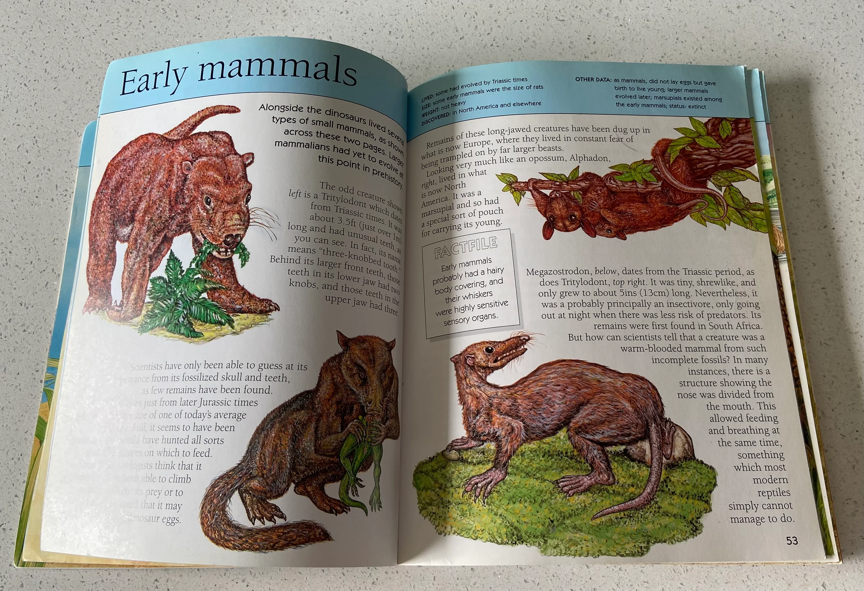 Extinct: The Complete Visual Guide to Extinct and Endangered Species - Image 5