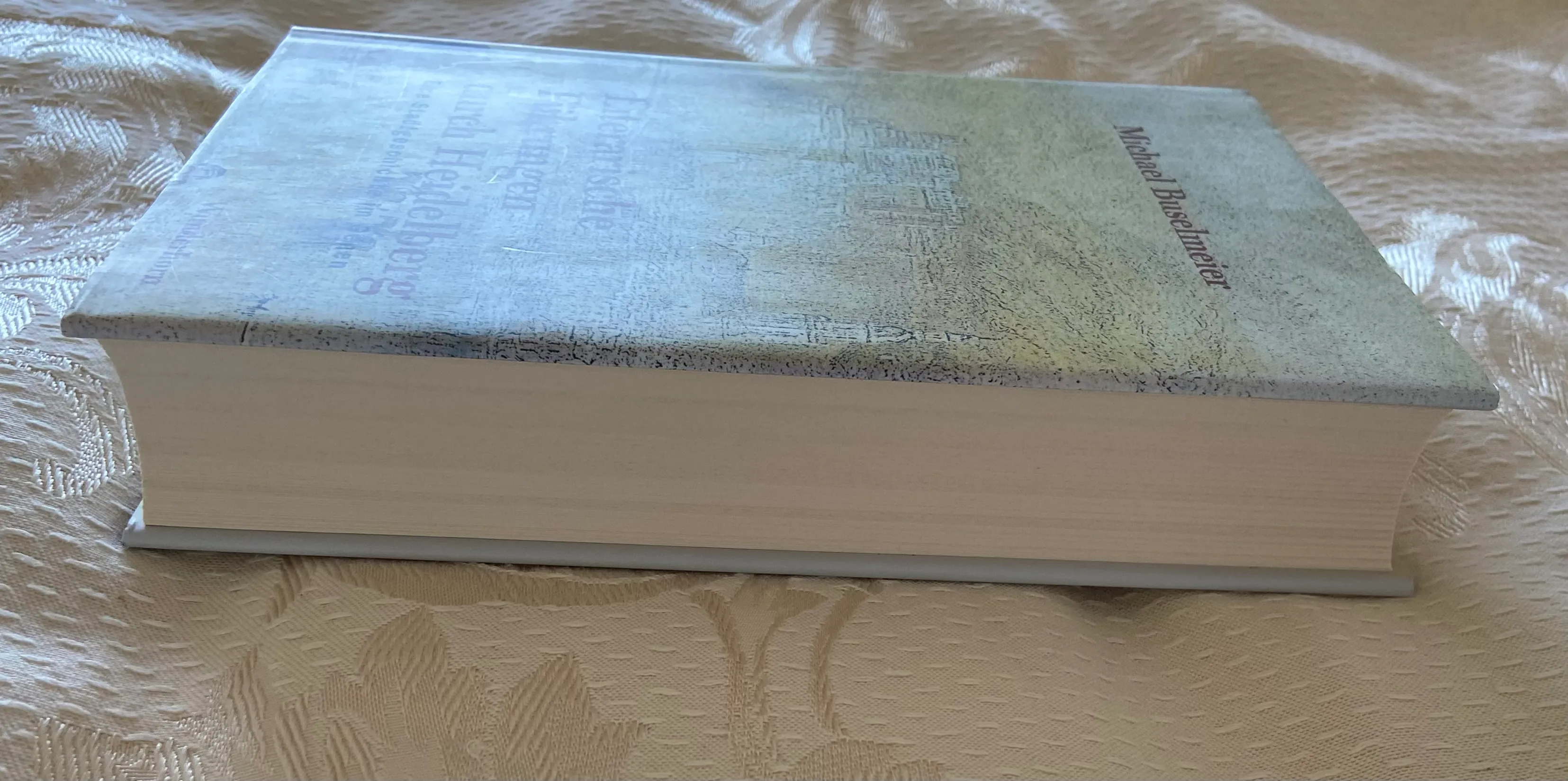 Literarische Führungen durch Heidelberg - Image 2