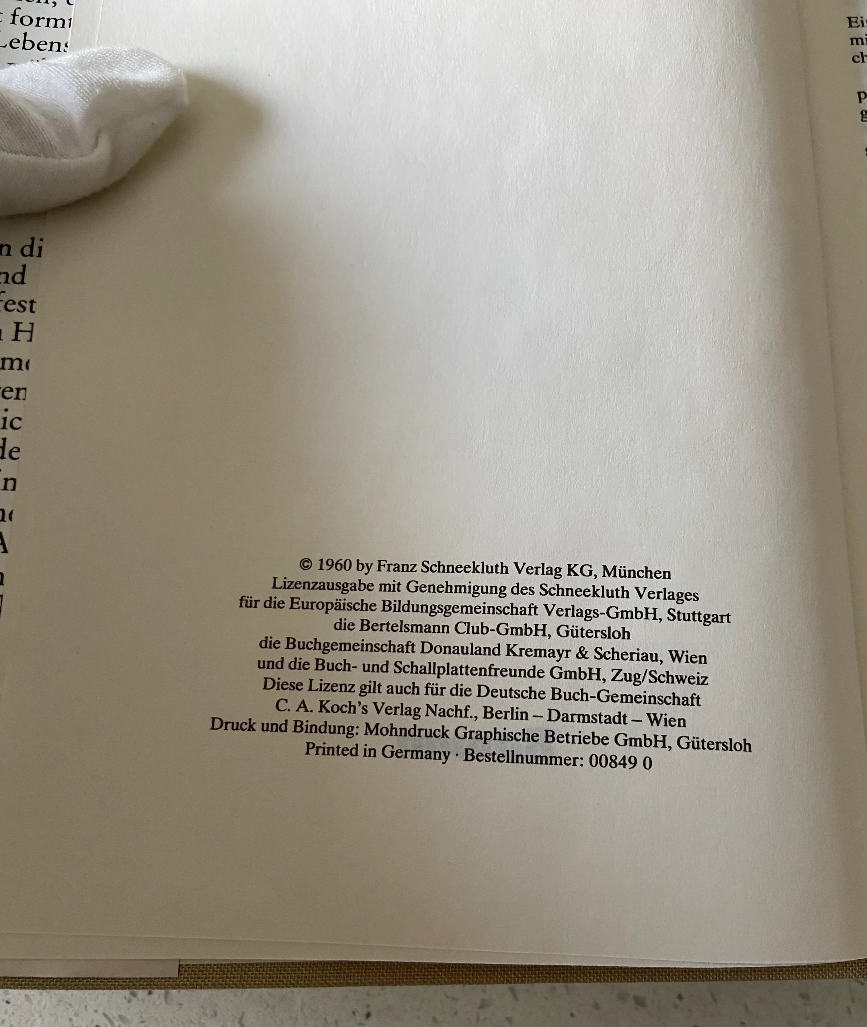 Stella Termogen oder die Versuchungen der Jahre - Image 4