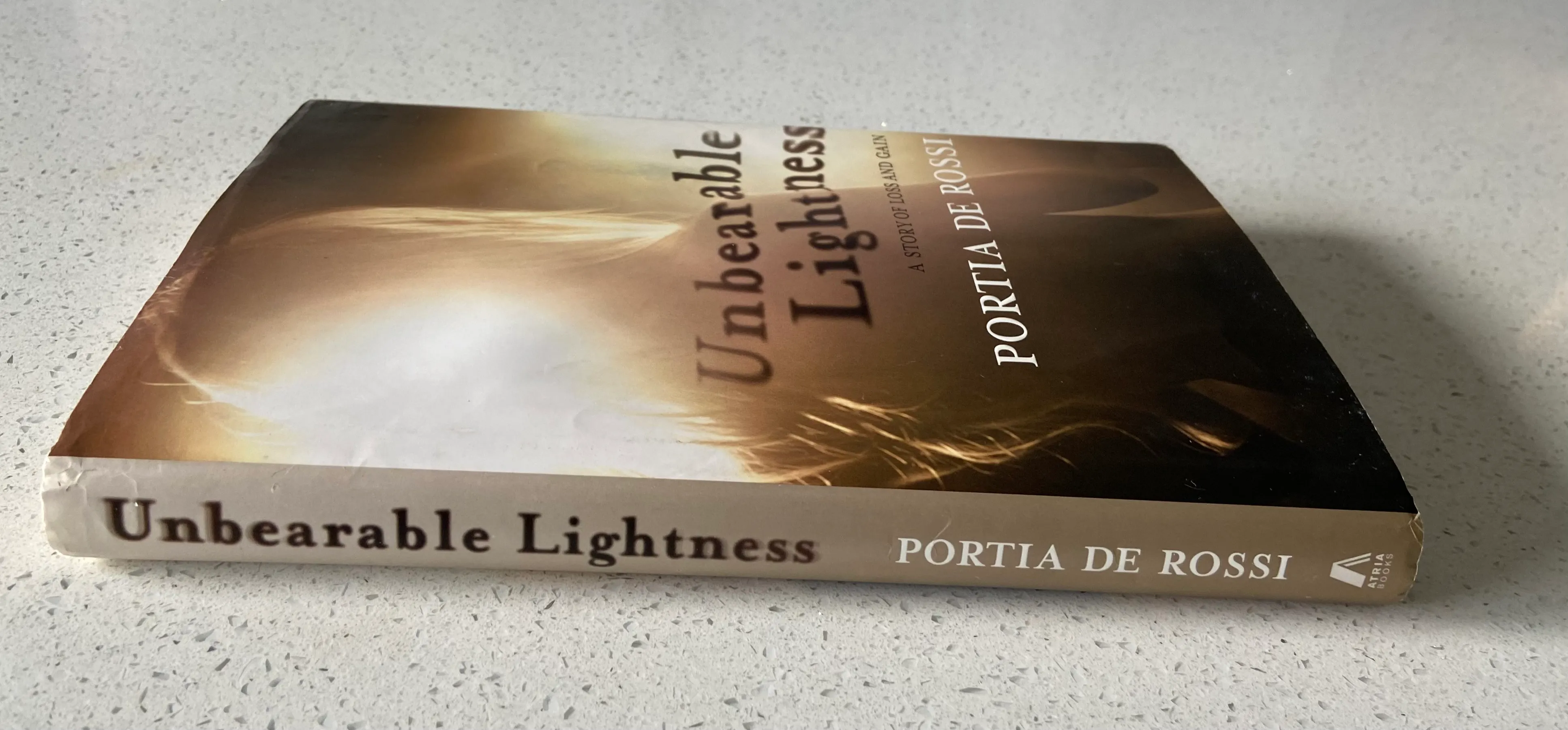 Unbearable Lightness: A Story of Loss and Gain - Image 3