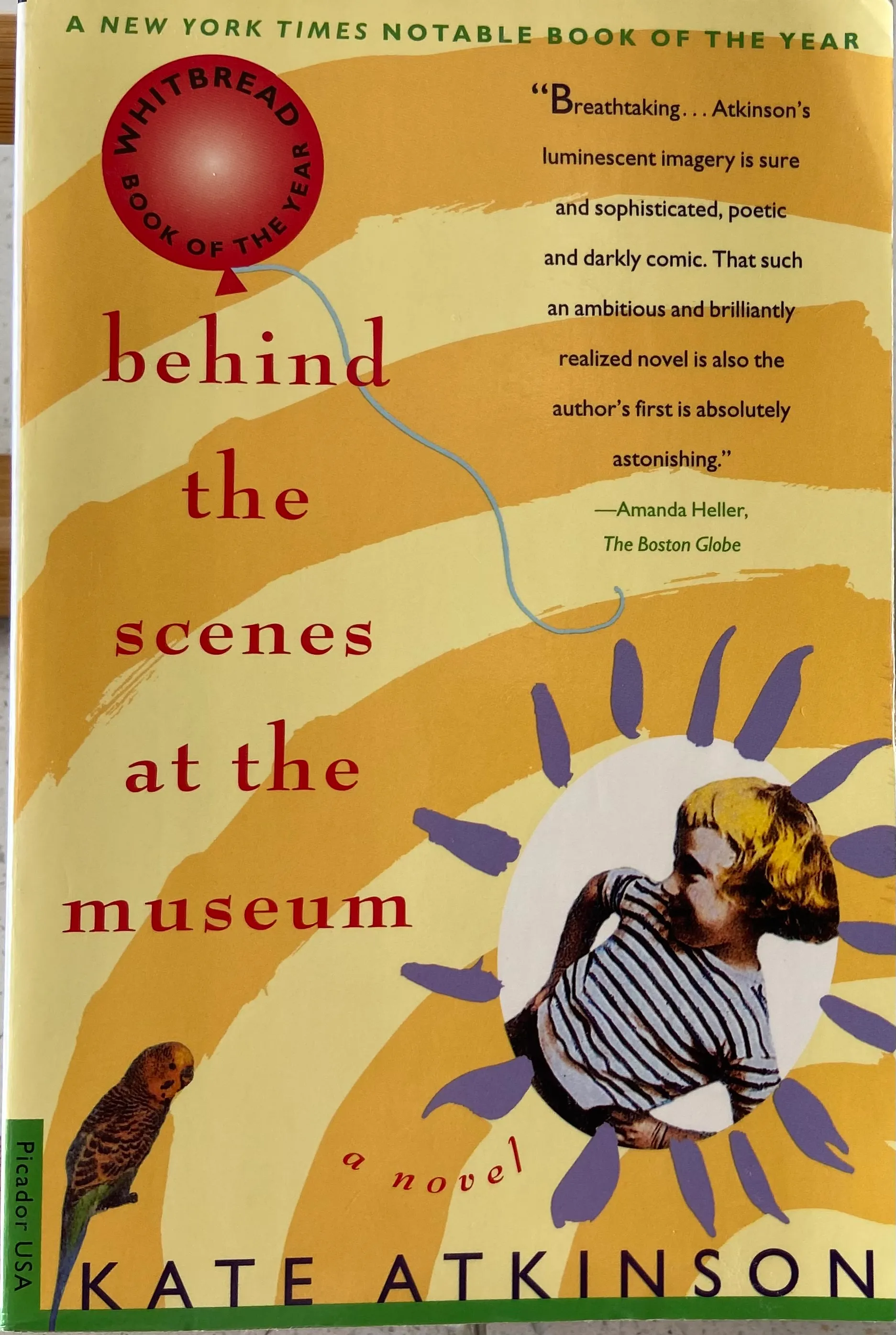 Behind the Scenes at the Museum