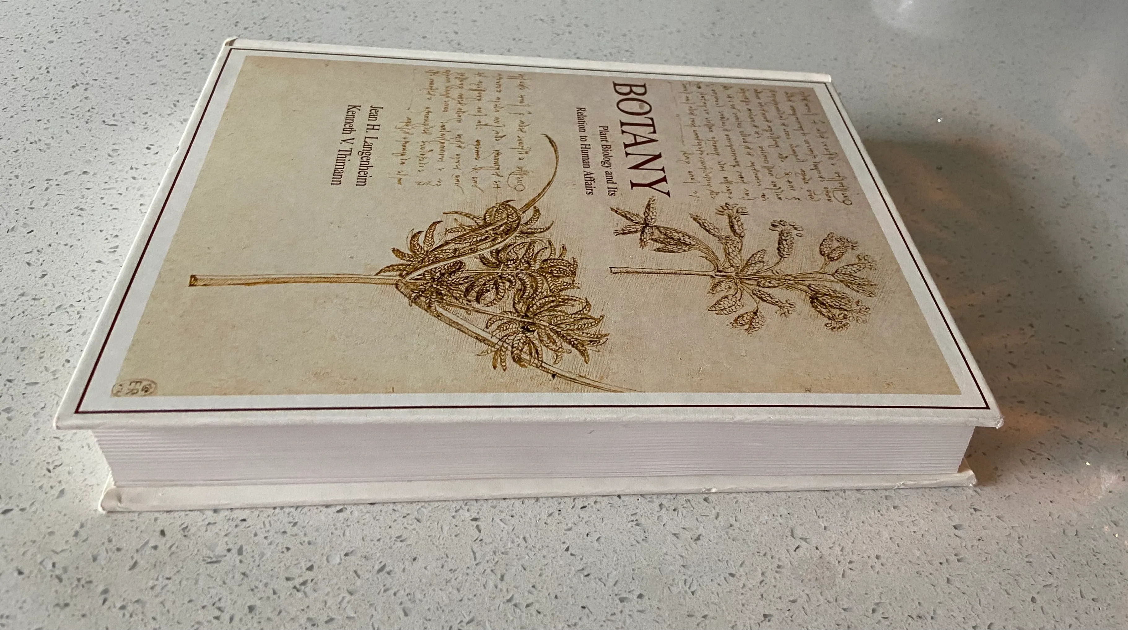 Botany: Plant Biology and Its Relation to Human Affairs - Image 3