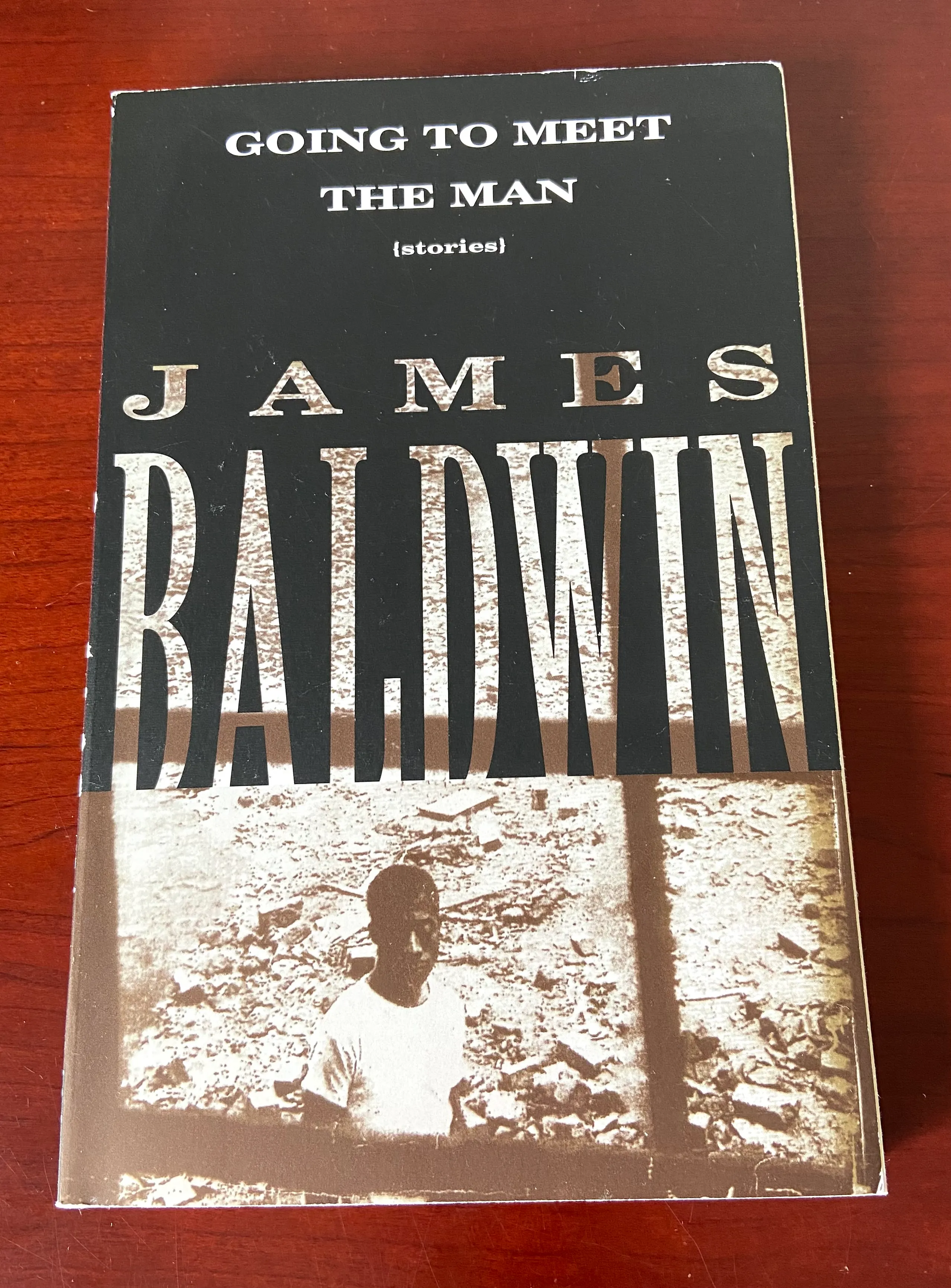 Going to Meet the Man: Stories