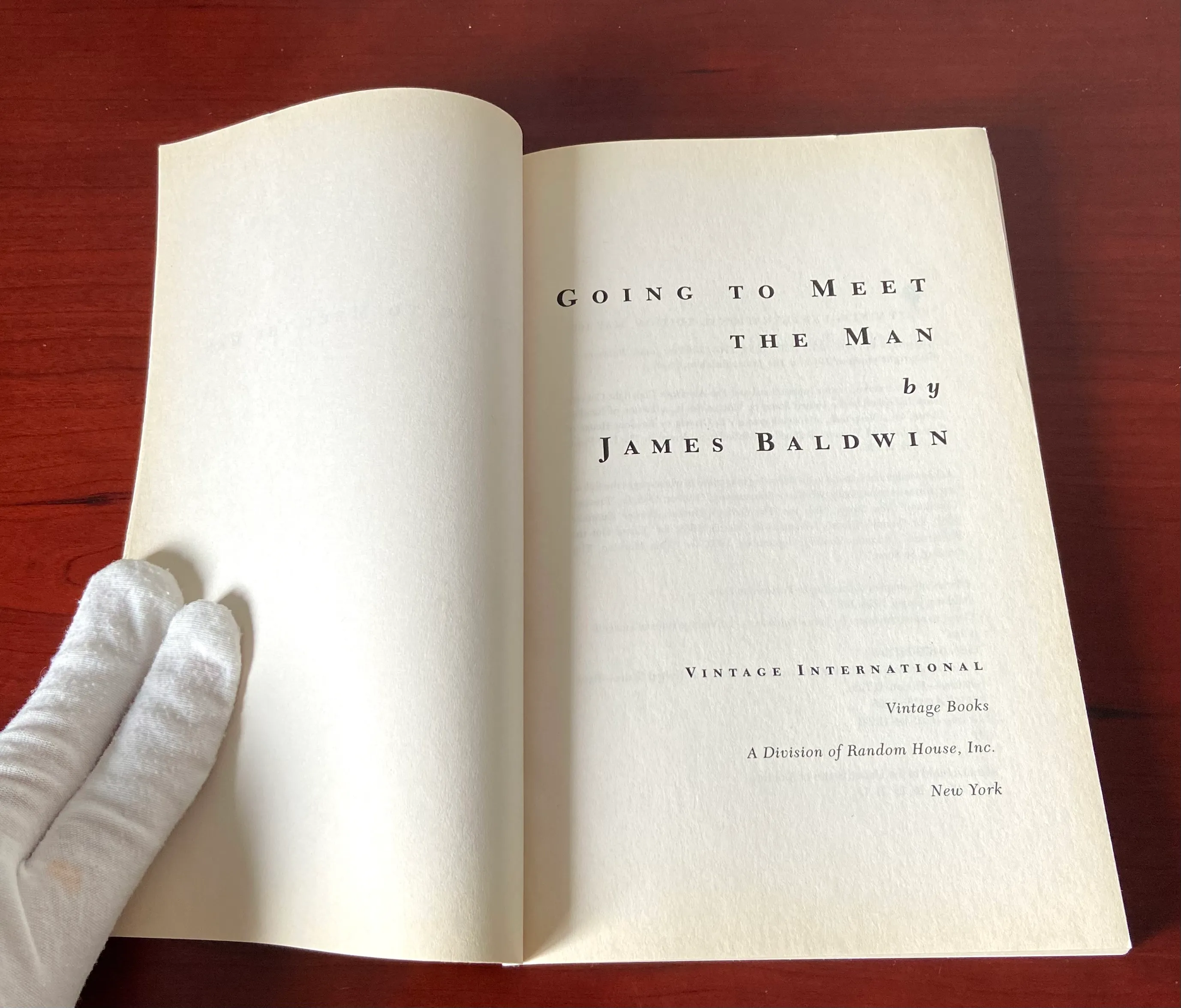 Going to Meet the Man: Stories - Image 3