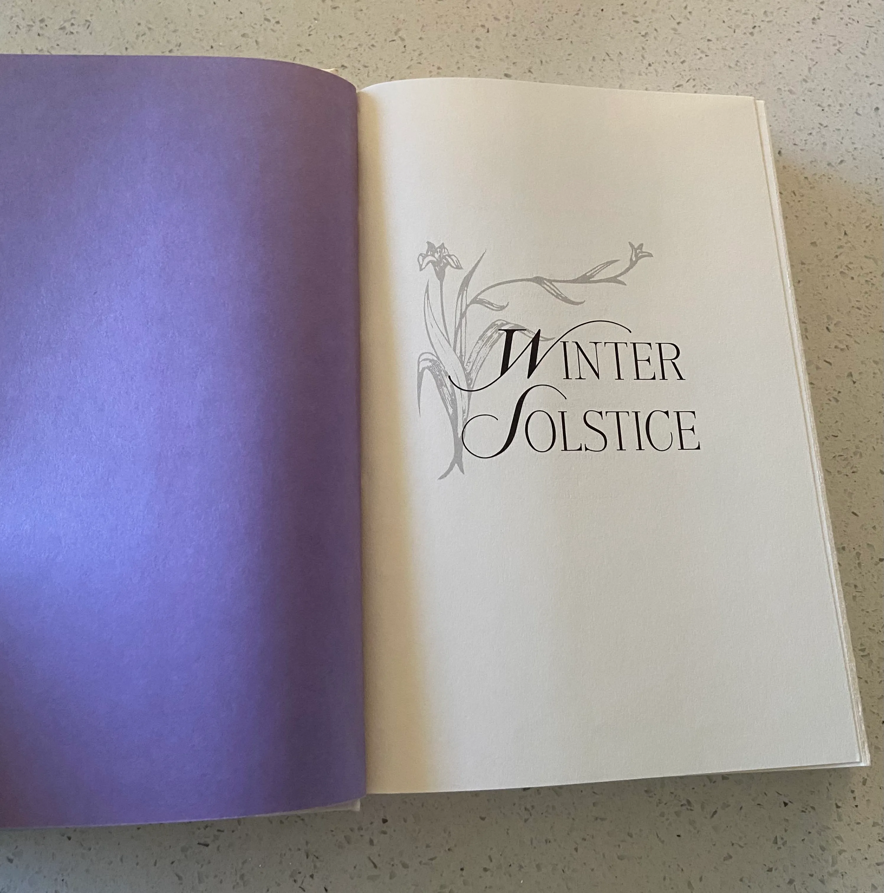 Winter Solstice - Image 3