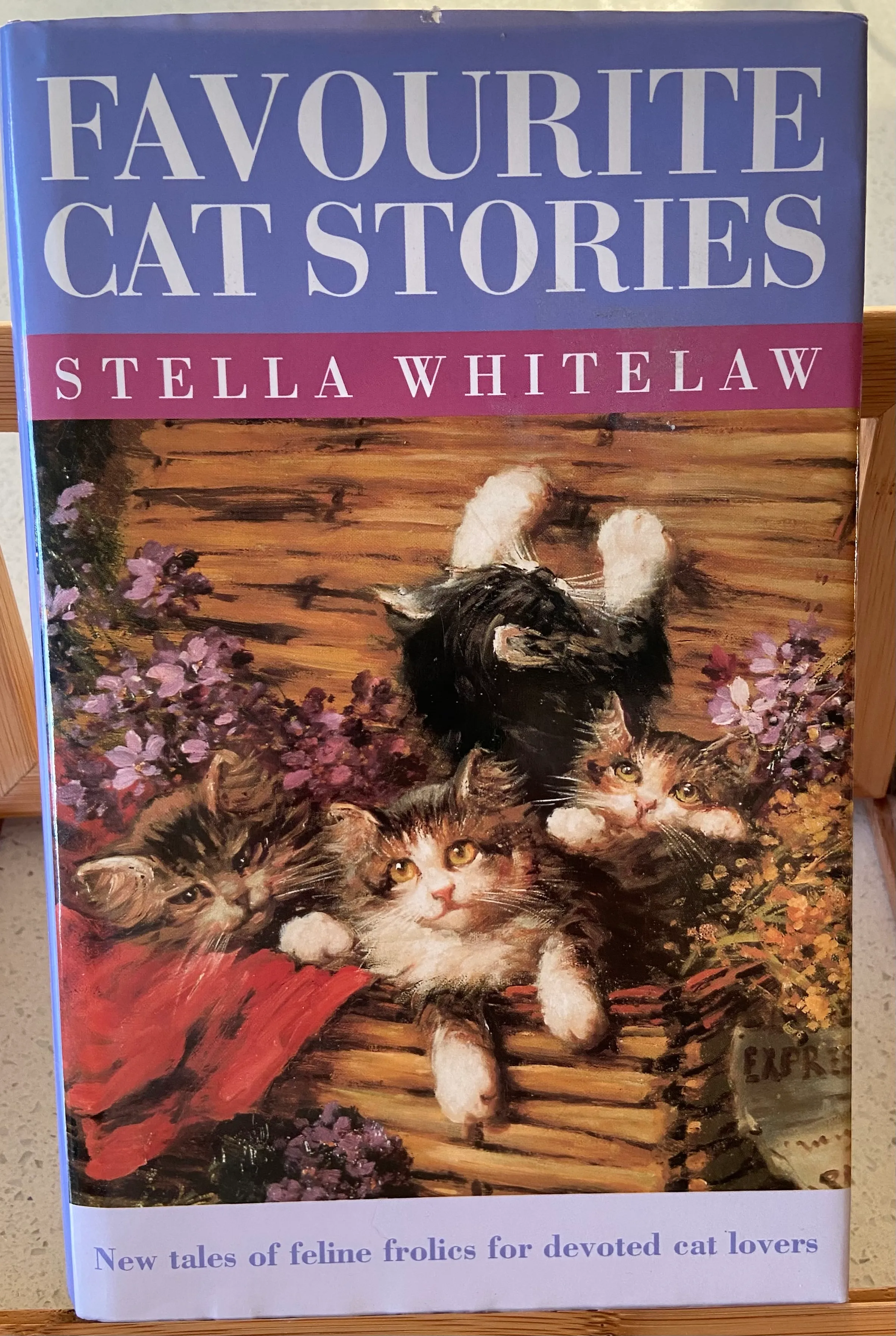Favourite Cat Stories: New Tales of Feline Frolics for Devoted Cat Lovers