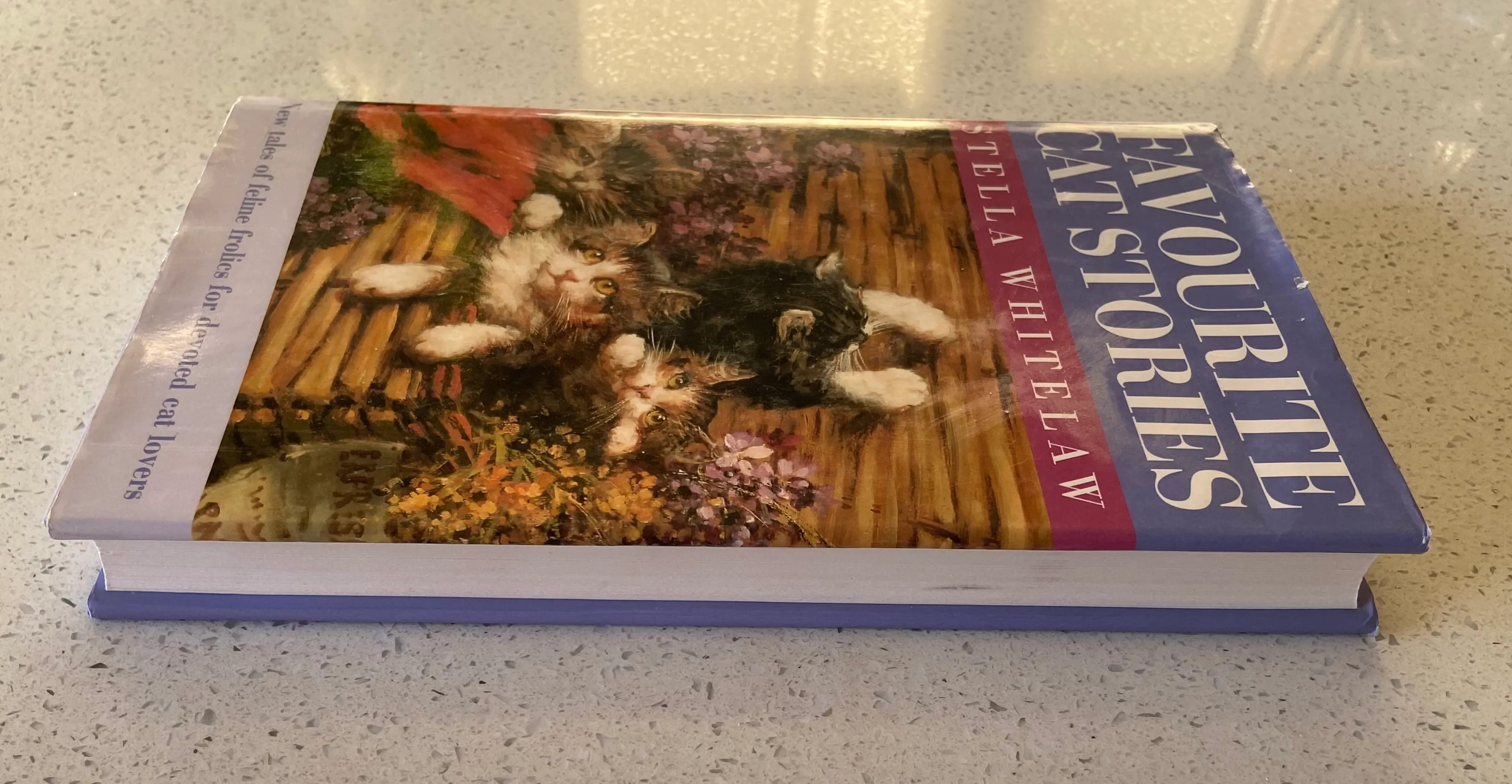 Favourite Cat Stories: New Tales of Feline Frolics for Devoted Cat Lovers - Image 3