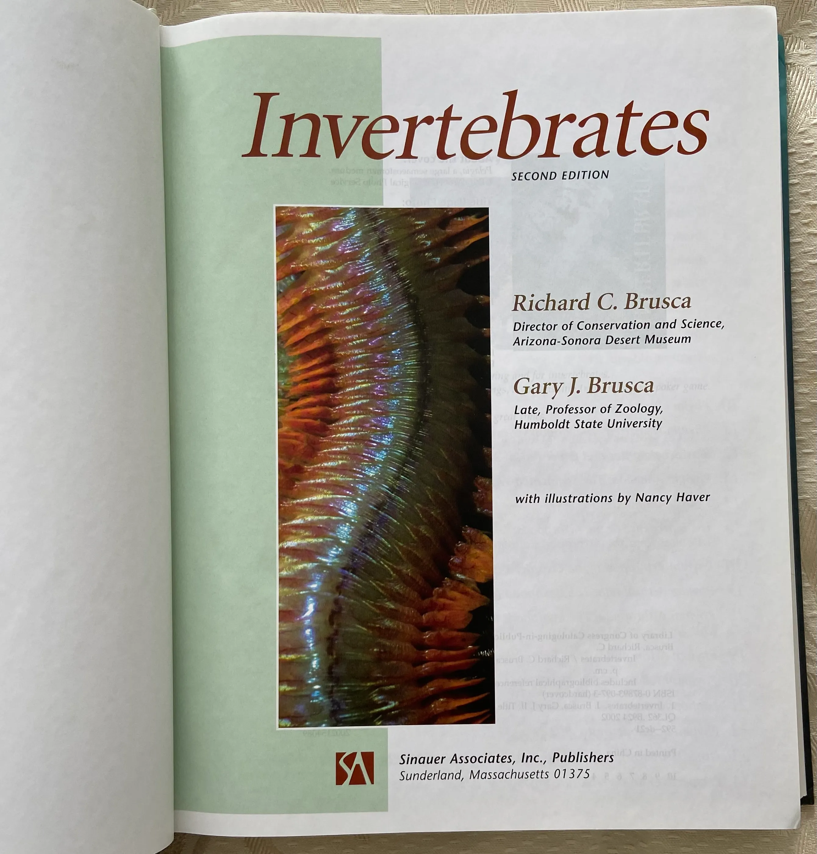 Invertebrates  Second Edition - Image 2