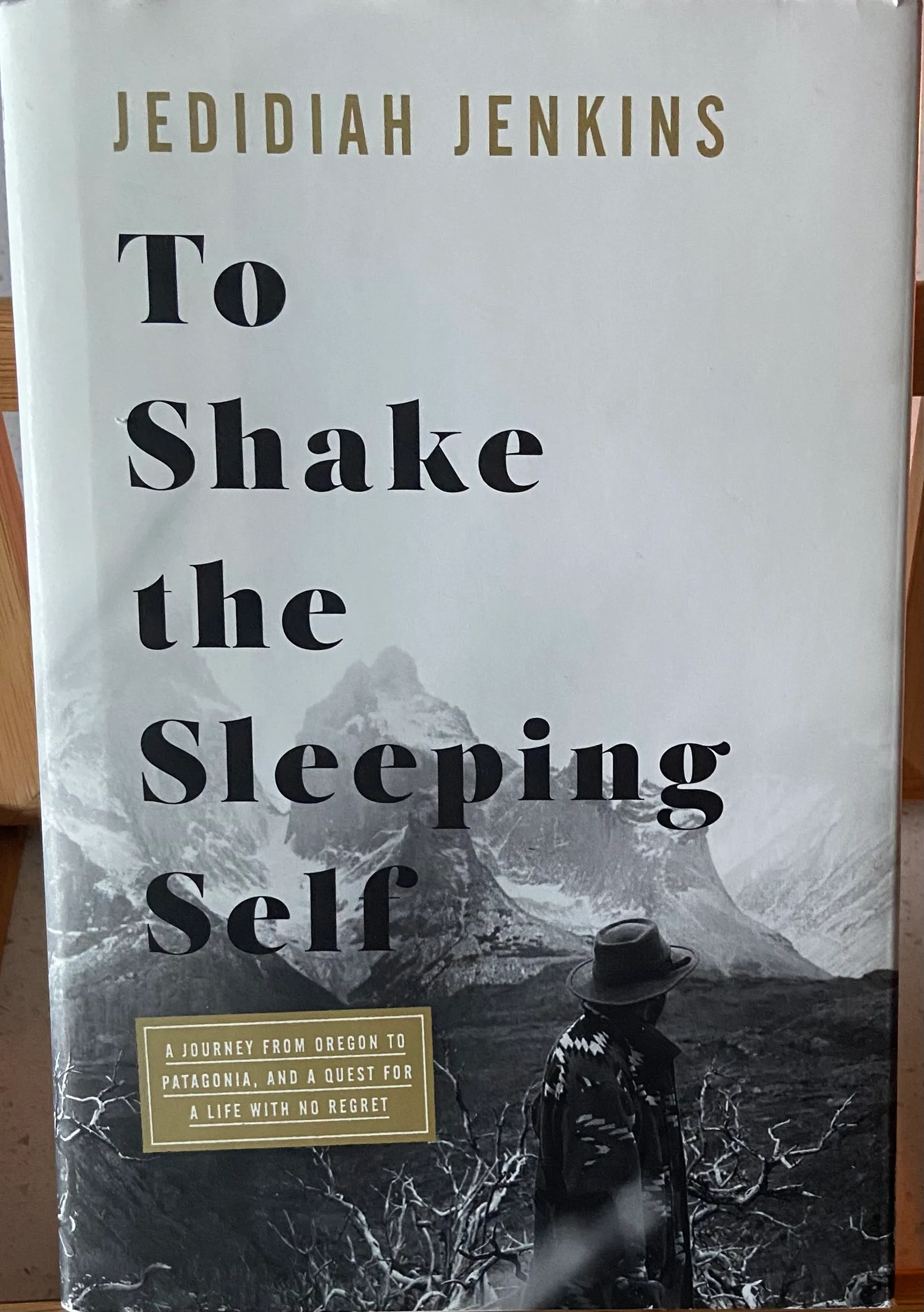 To Shake the Sleeping Self: A Journey from Oregon to Patagonia, and a Quest for a Life with No Regret - Image 2