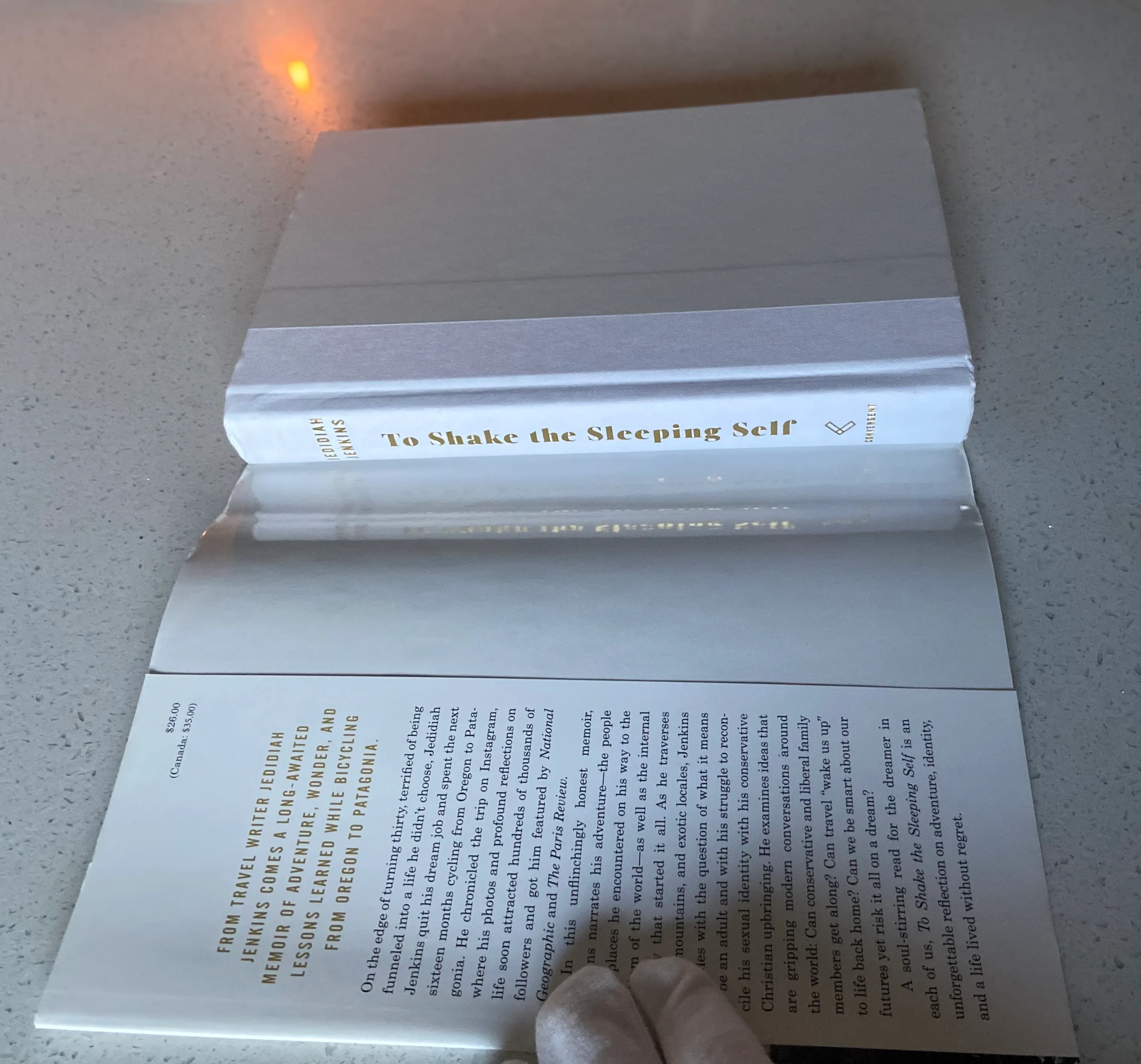 To Shake the Sleeping Self: A Journey from Oregon to Patagonia, and a Quest for a Life with No Regret - Image 4