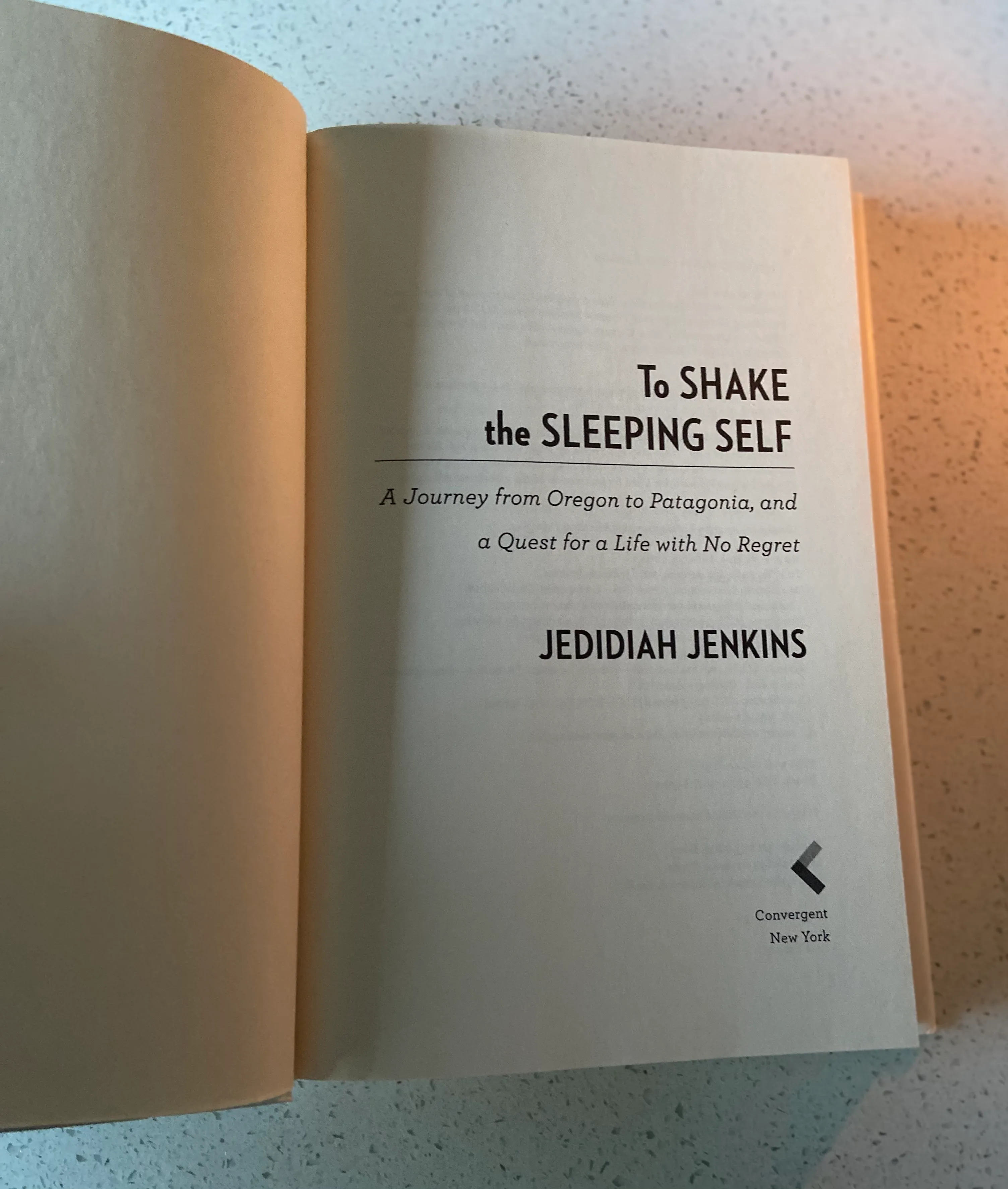 To Shake the Sleeping Self: A Journey from Oregon to Patagonia, and a Quest for a Life with No Regret - Image 6