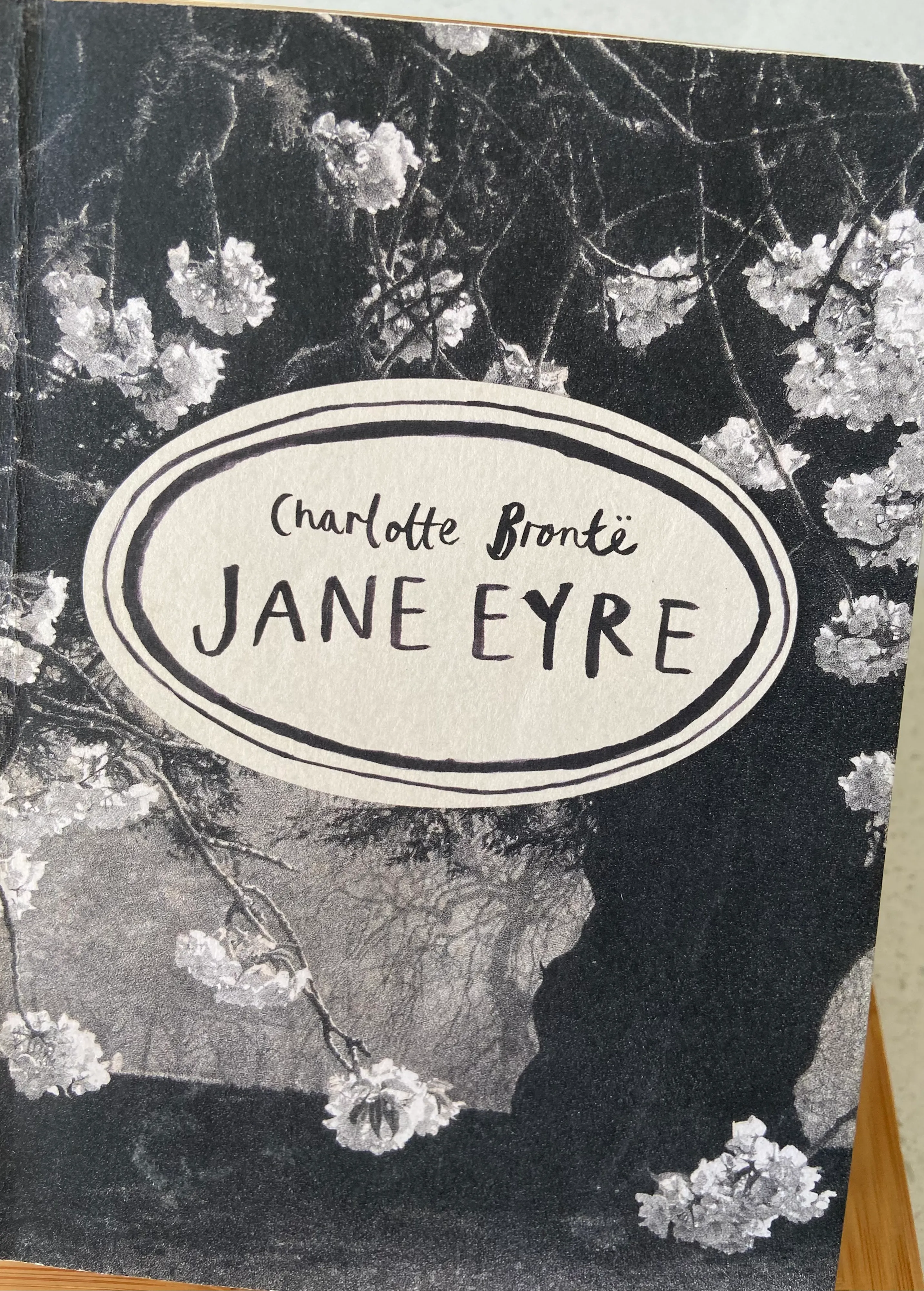 Jane Eyre (Vintage Classics)