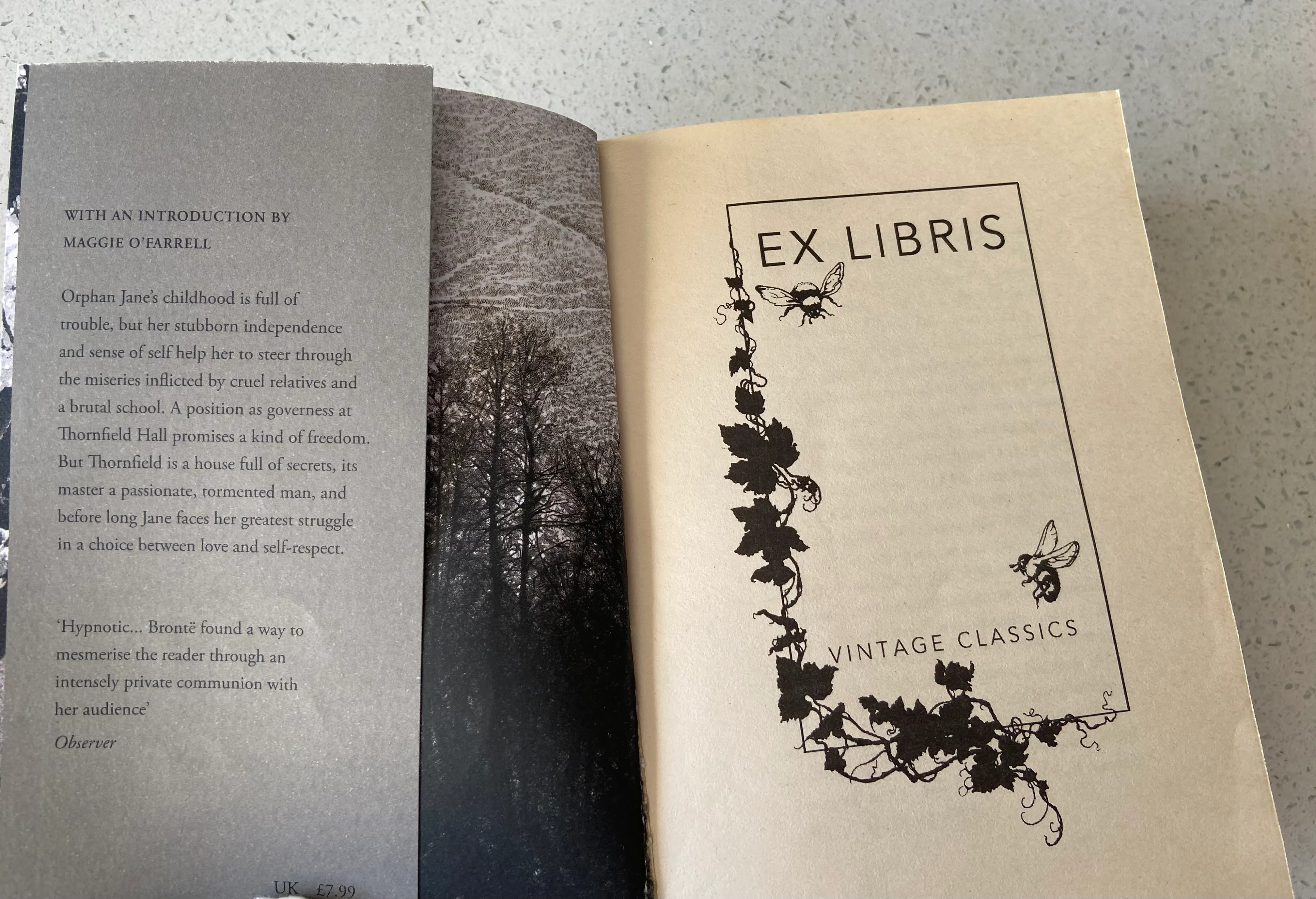 Jane Eyre (Vintage Classics) - Image 3