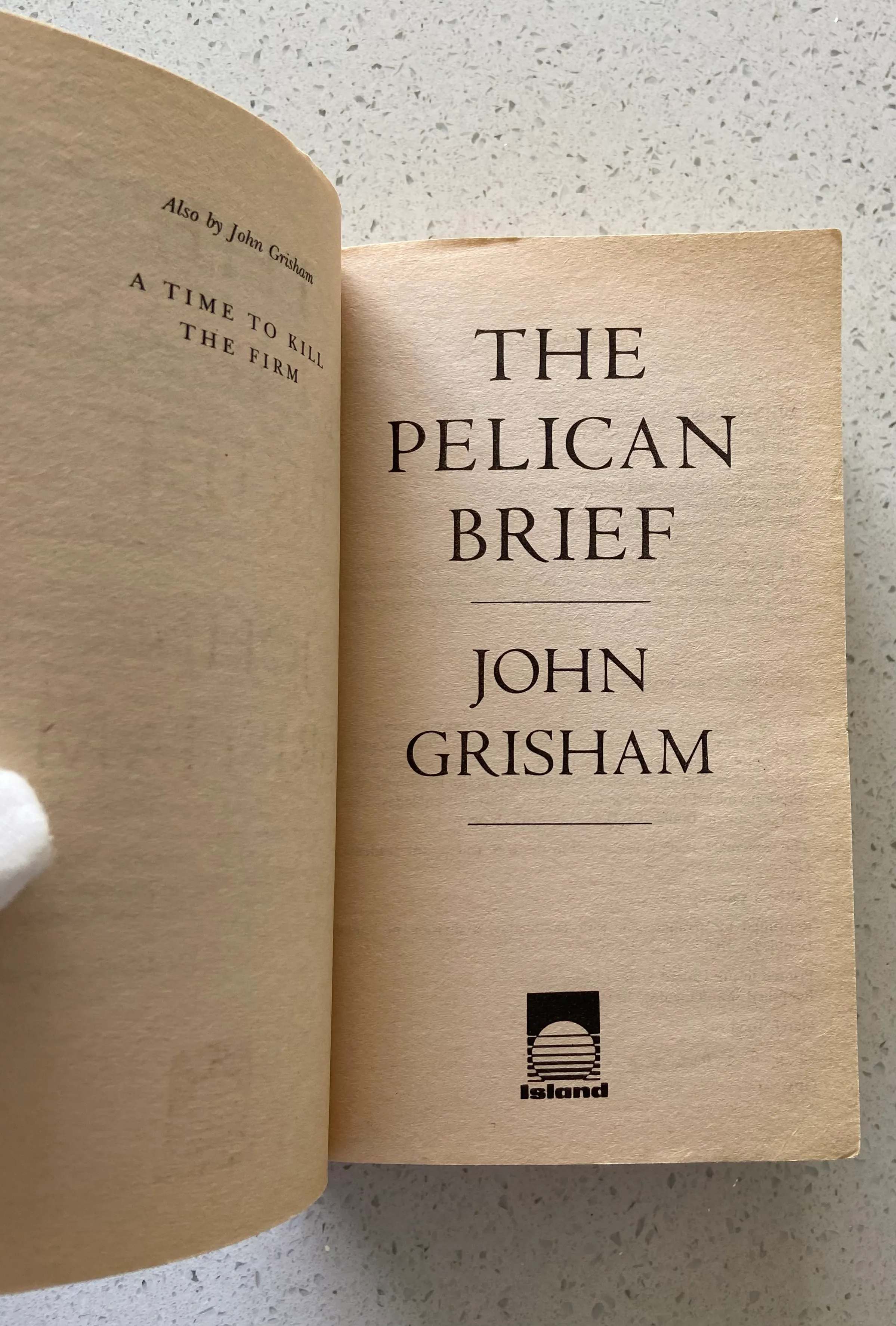 The Pelican Brief - Image 3
