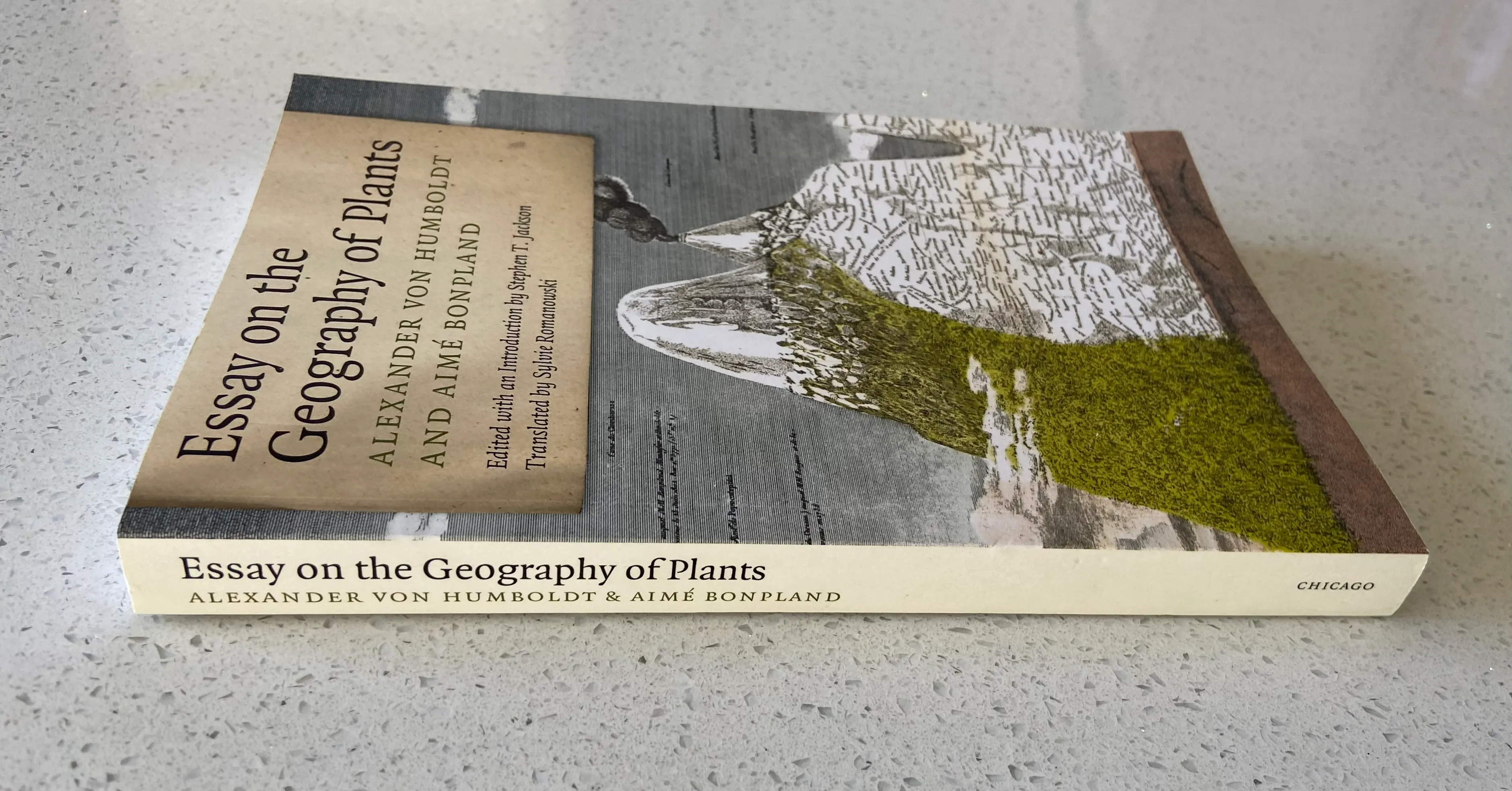 Essay on the Geography of Plants - Image 3