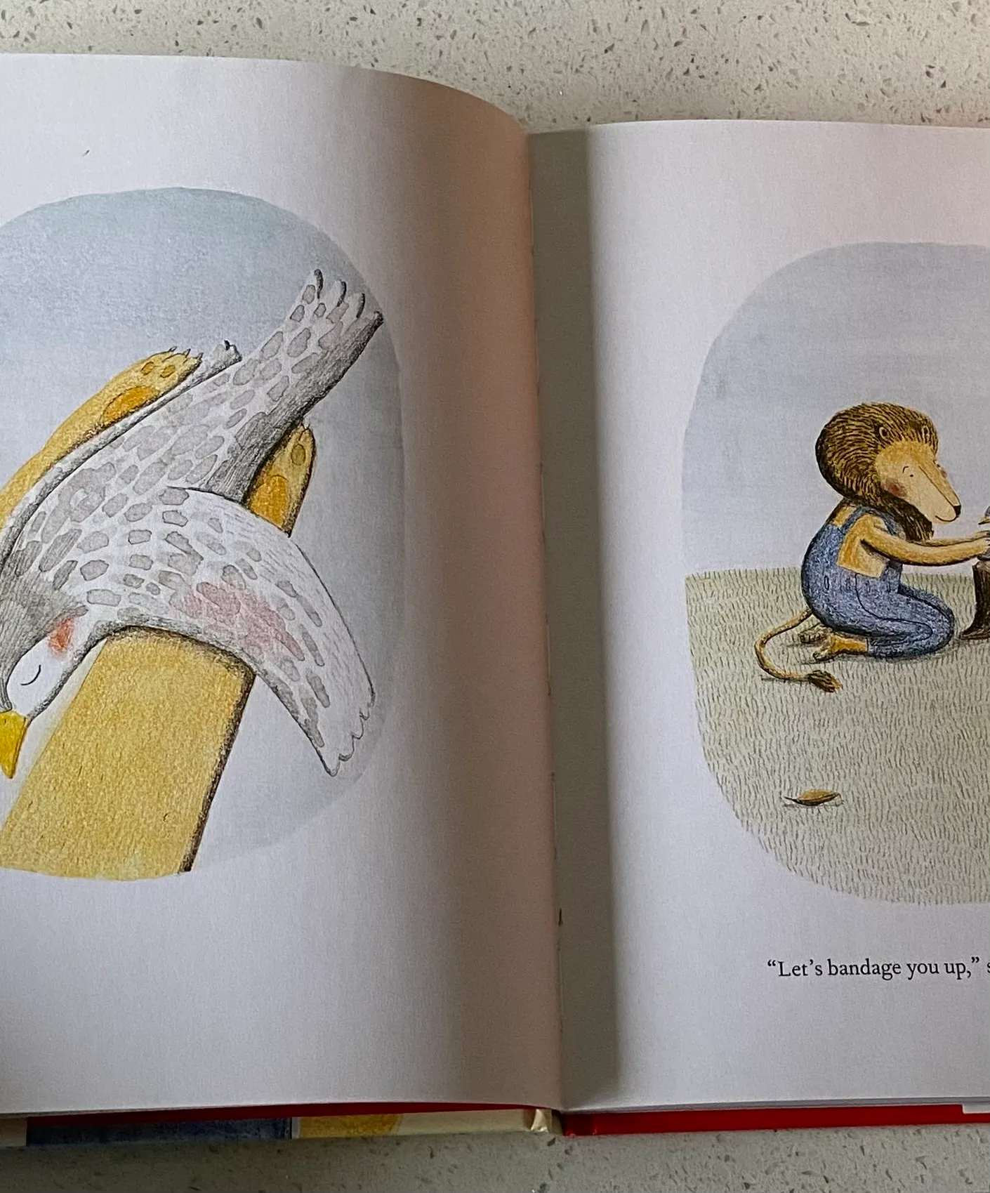 The Lion and the Bird - Image 3