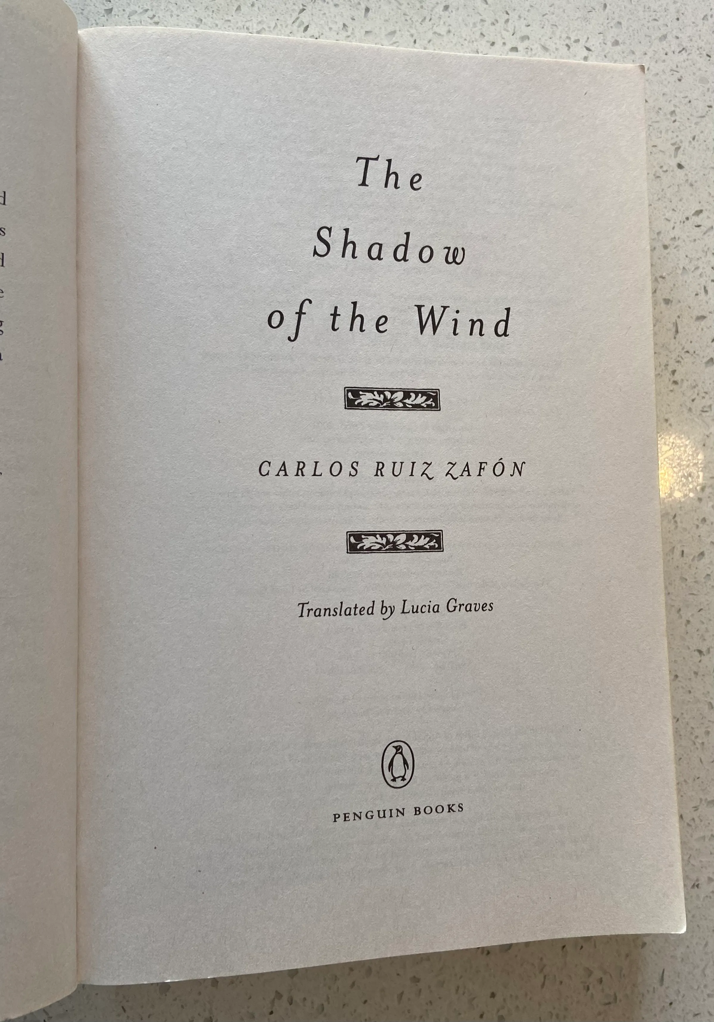 The Shadow of the Wind - Image 4