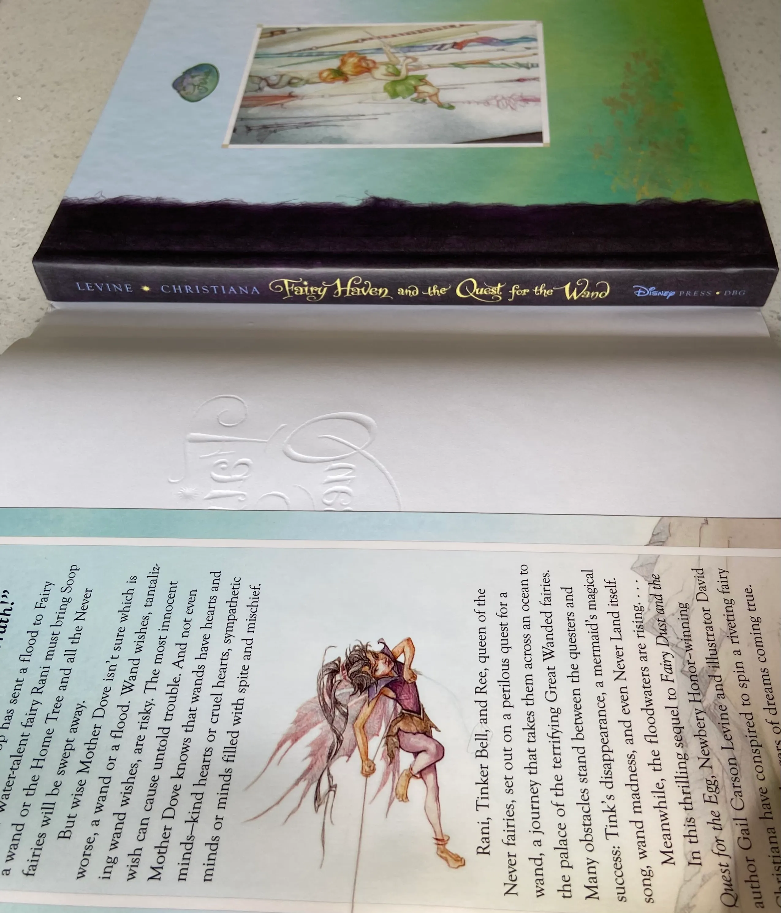 Fairy Haven and the Quest for the Wand (A Fairy Dust Trilogy Book) - Image 4