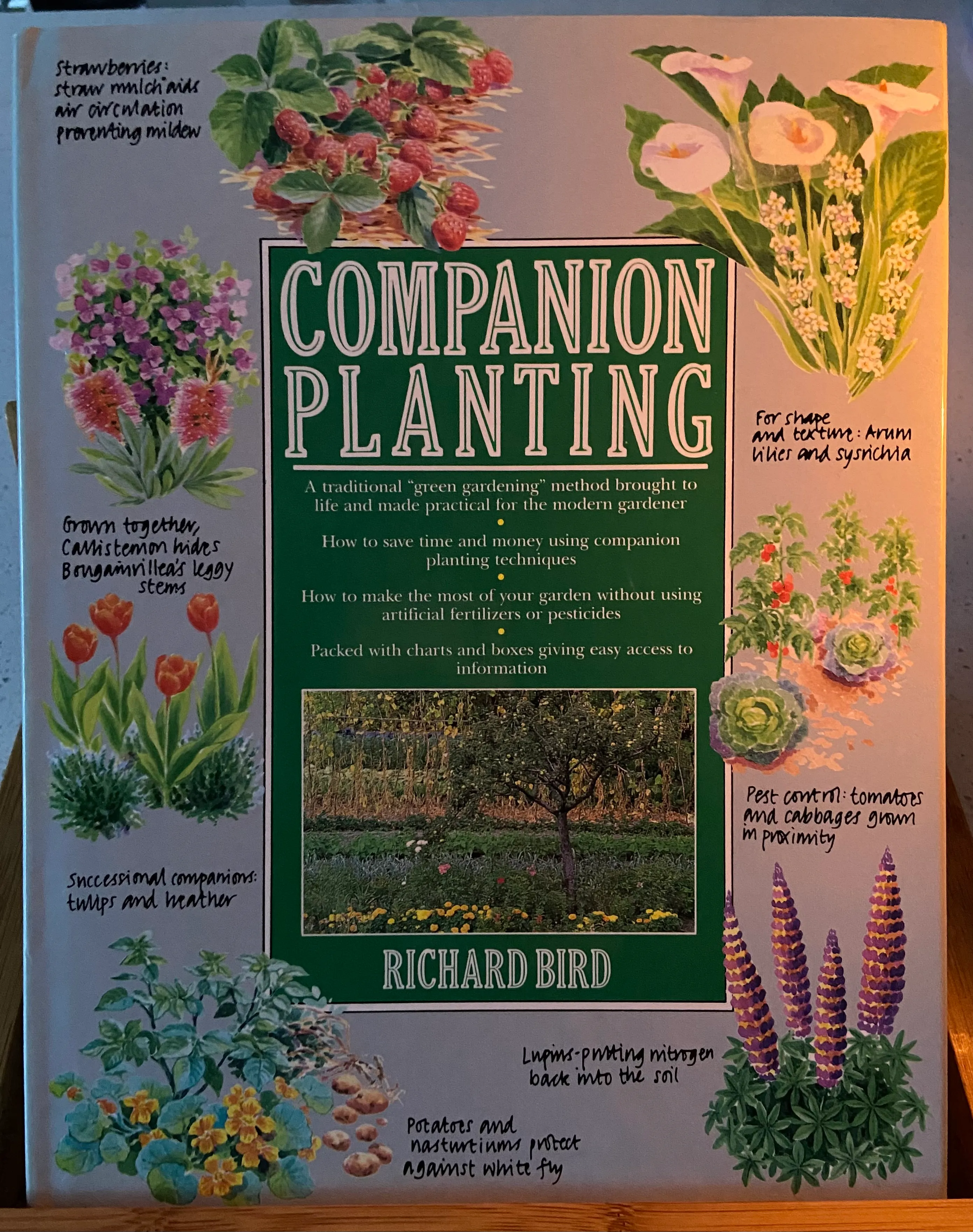 COMPANION PLANTING