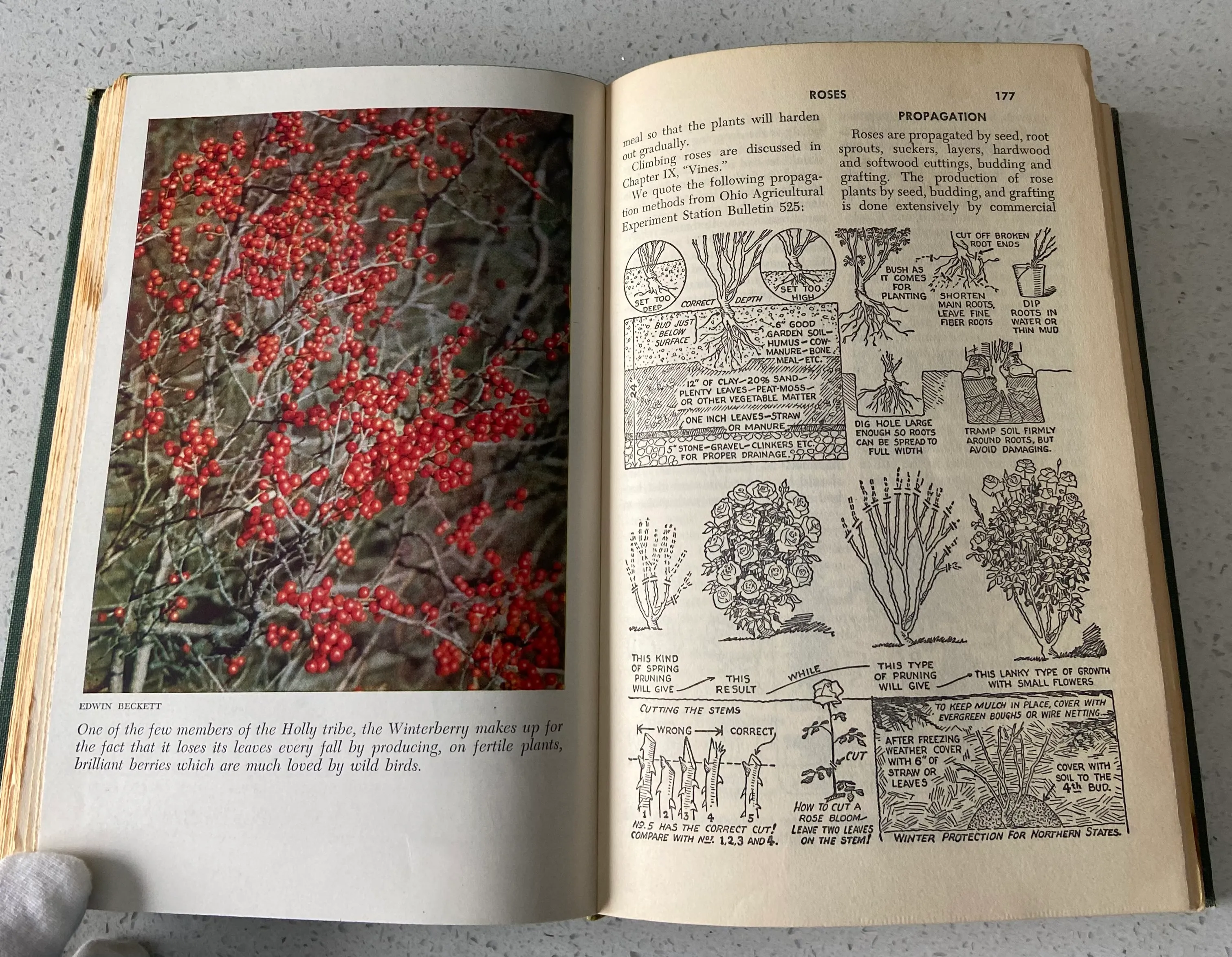 The Complete Book of Garden Magic - Image 5
