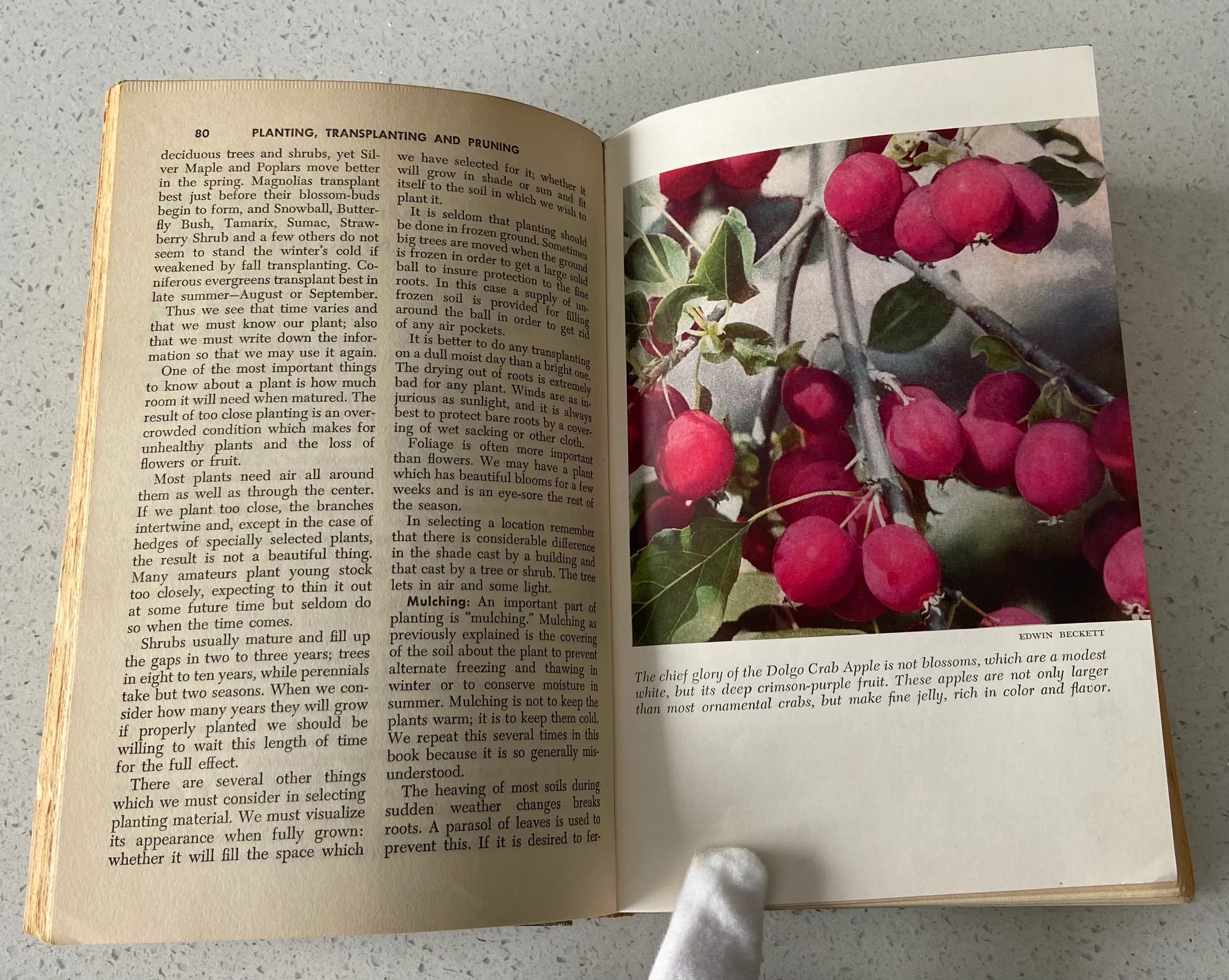 The Complete Book of Garden Magic - Image 6