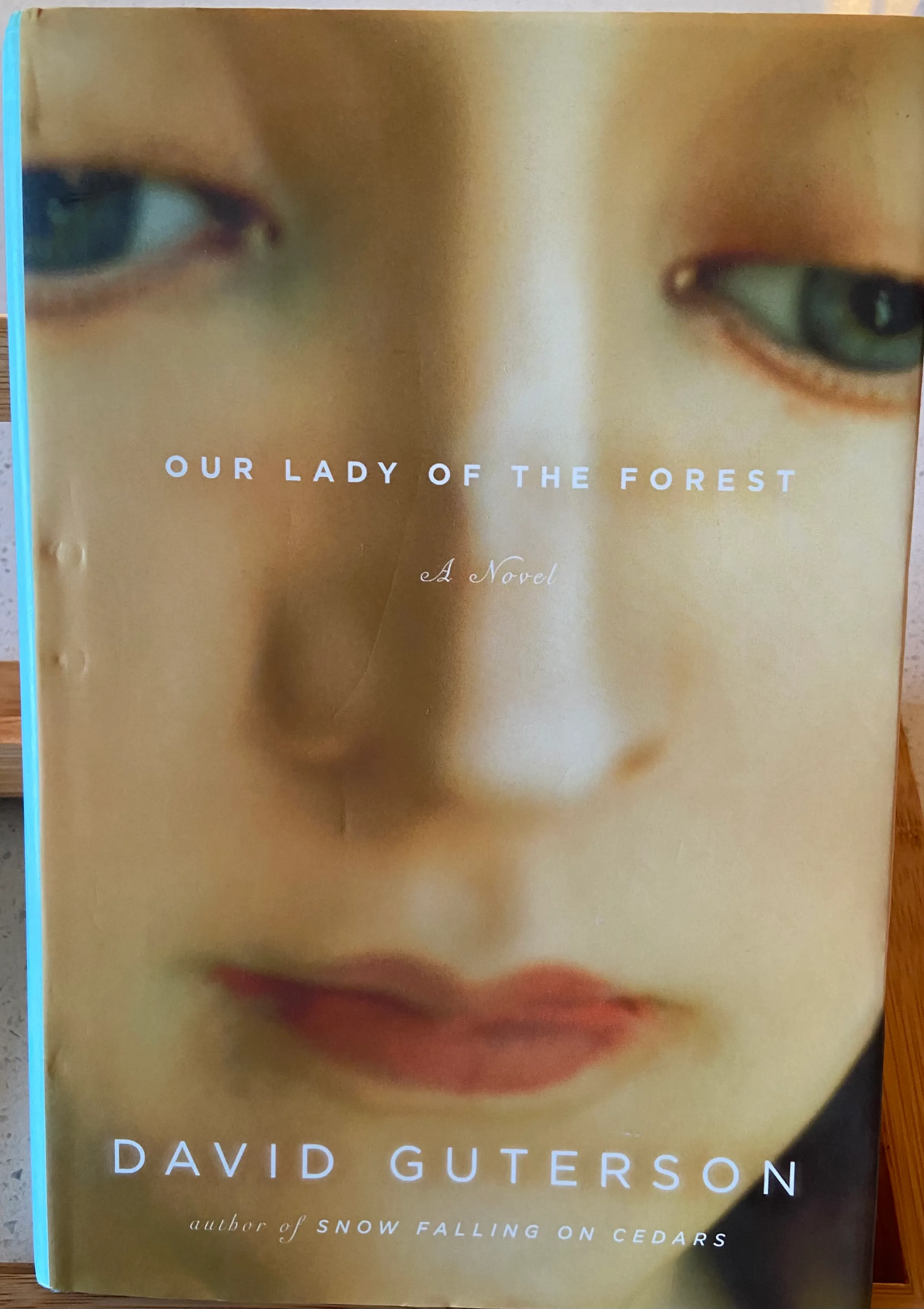 Our Lady of the Forest