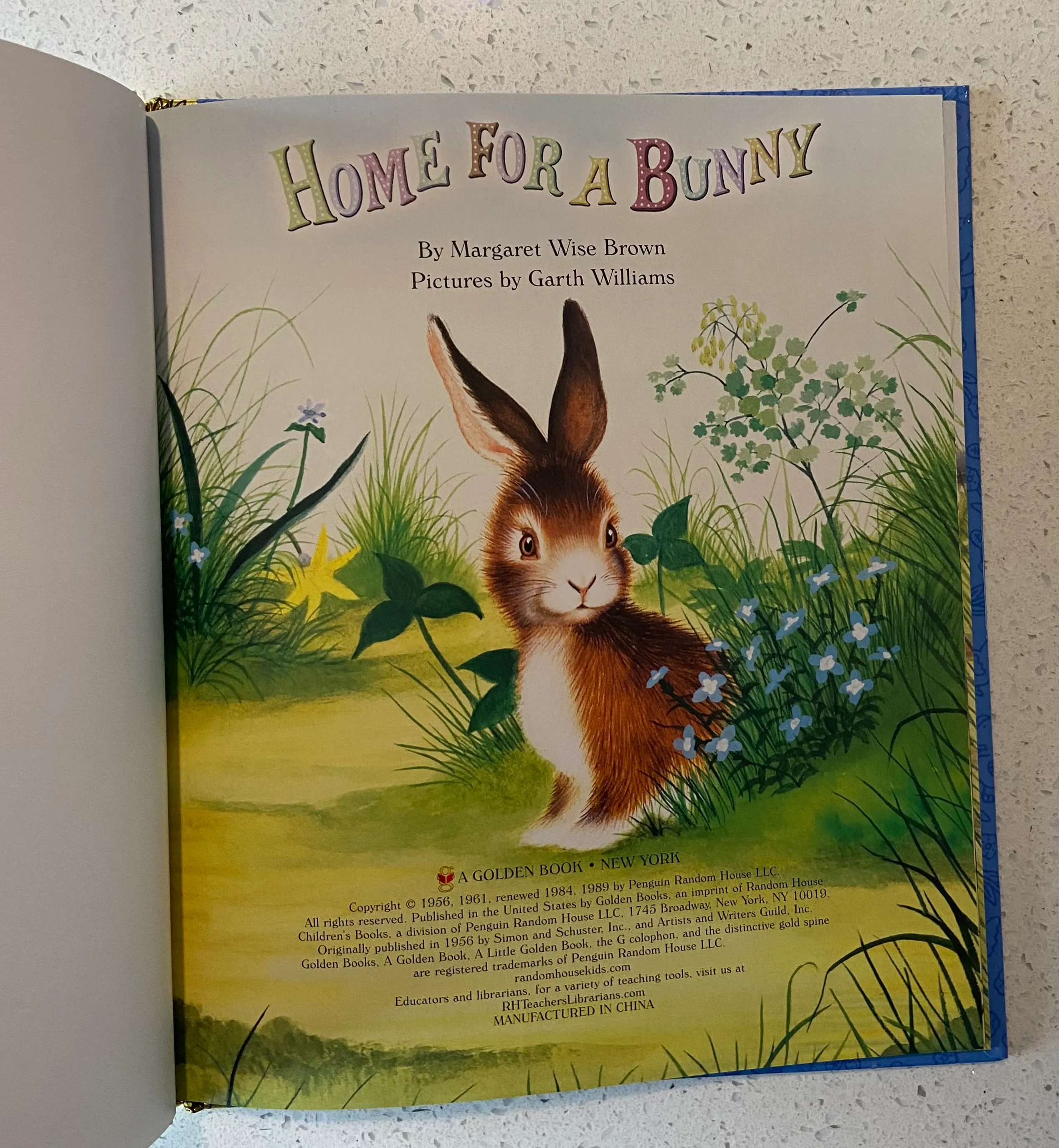 Home For a Bunny (Little Golden Book) - Image 3