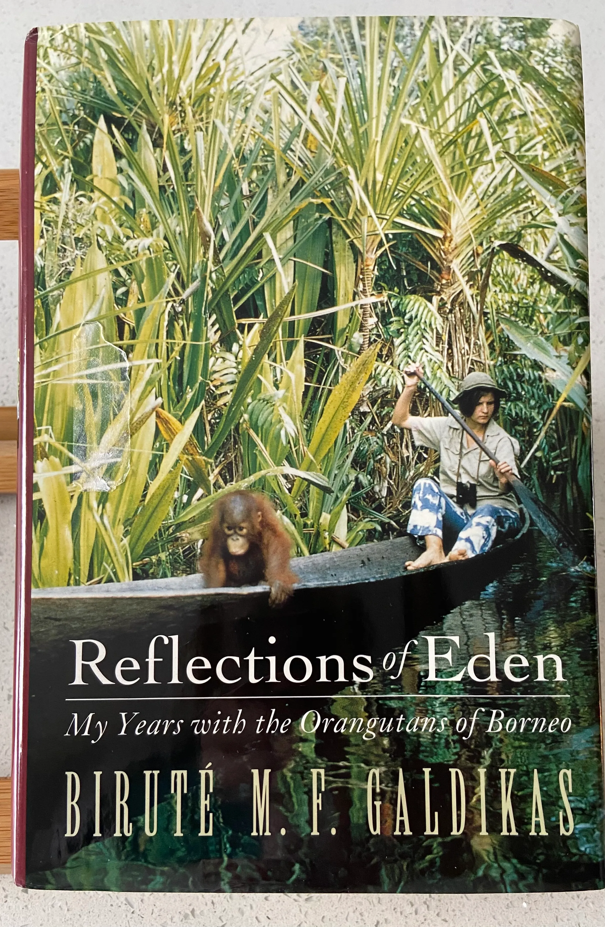 Reflections of Eden: My Years With the Orangutans of Borneo