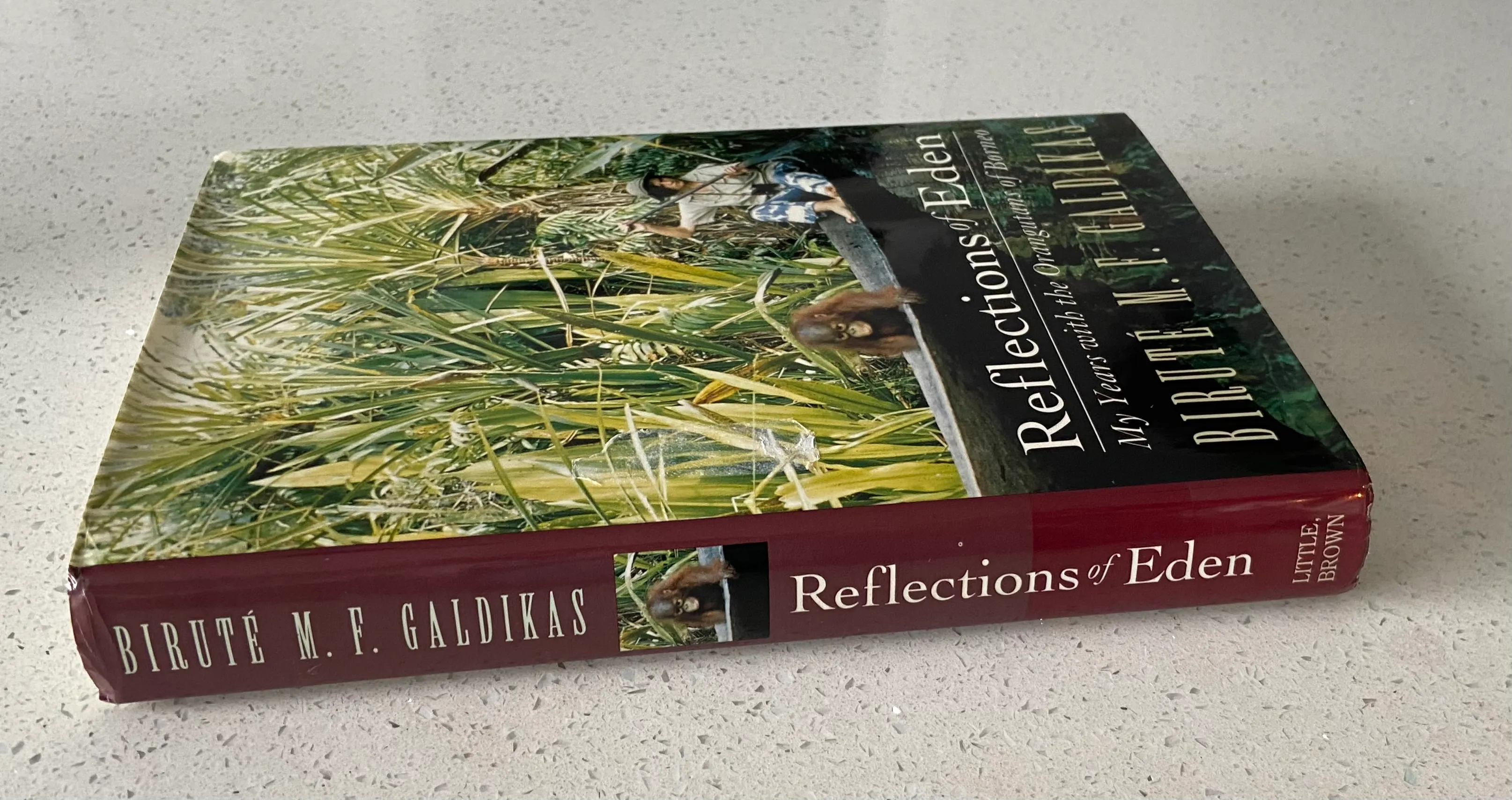 Reflections of Eden: My Years With the Orangutans of Borneo - Image 2