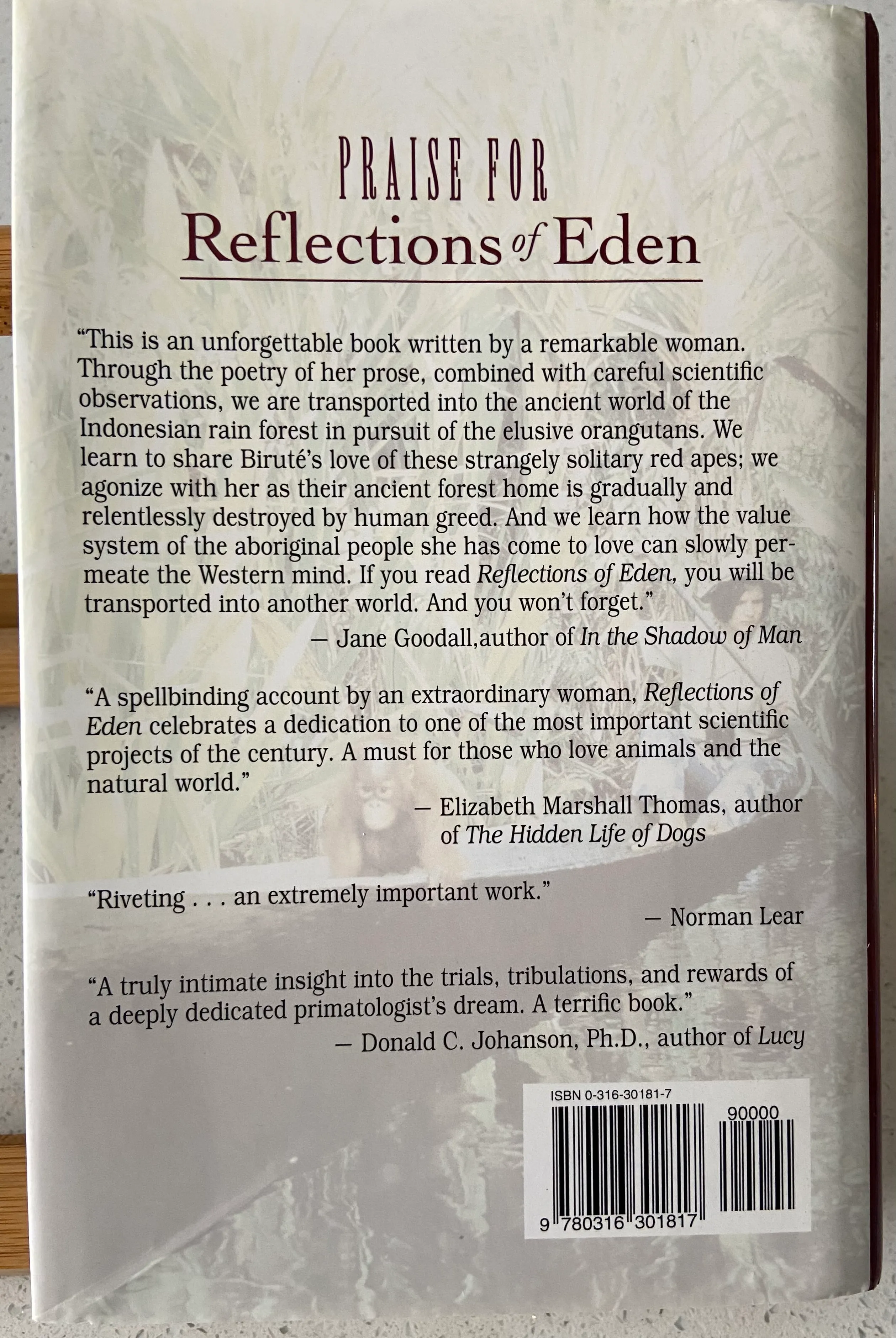 Reflections of Eden: My Years With the Orangutans of Borneo - Image 3