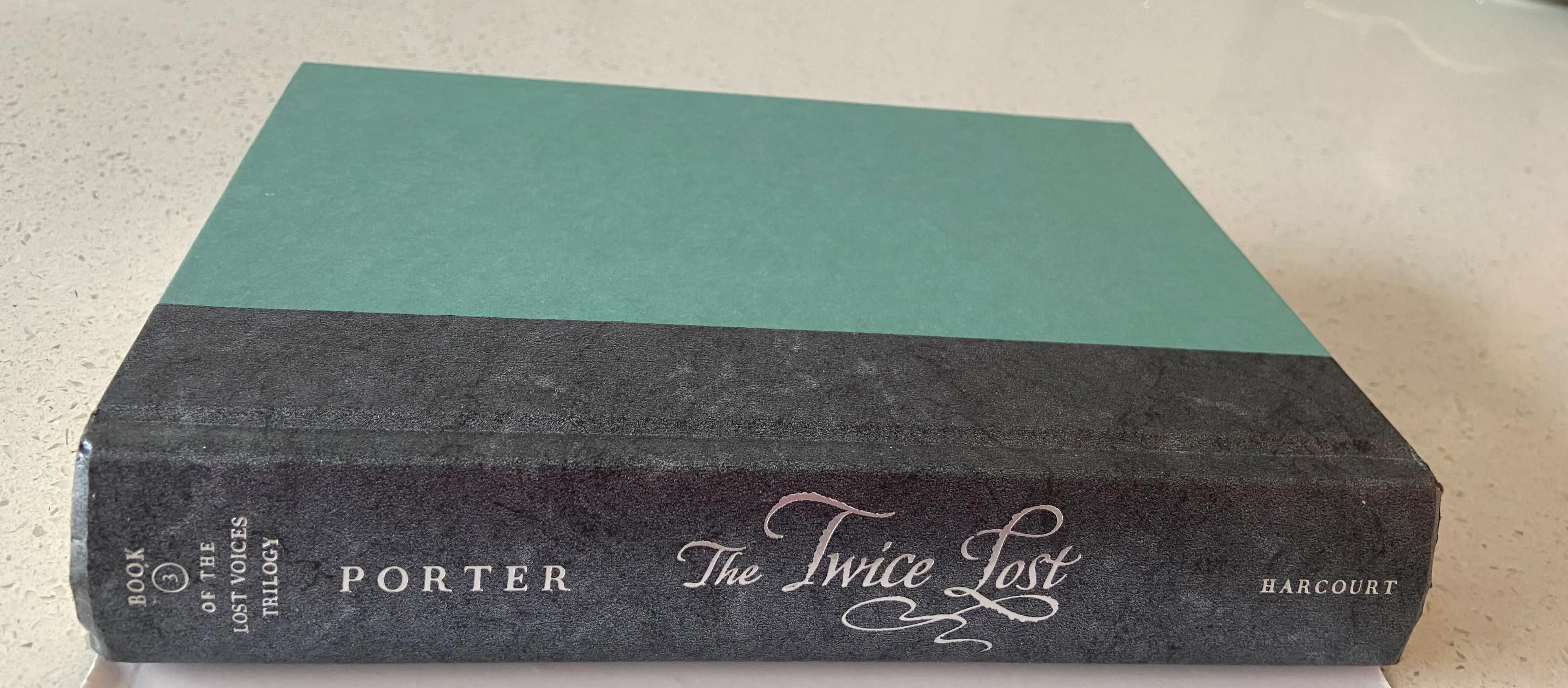 The Twice Lost (The Lost Voices Trilogy, 3) - Image 4
