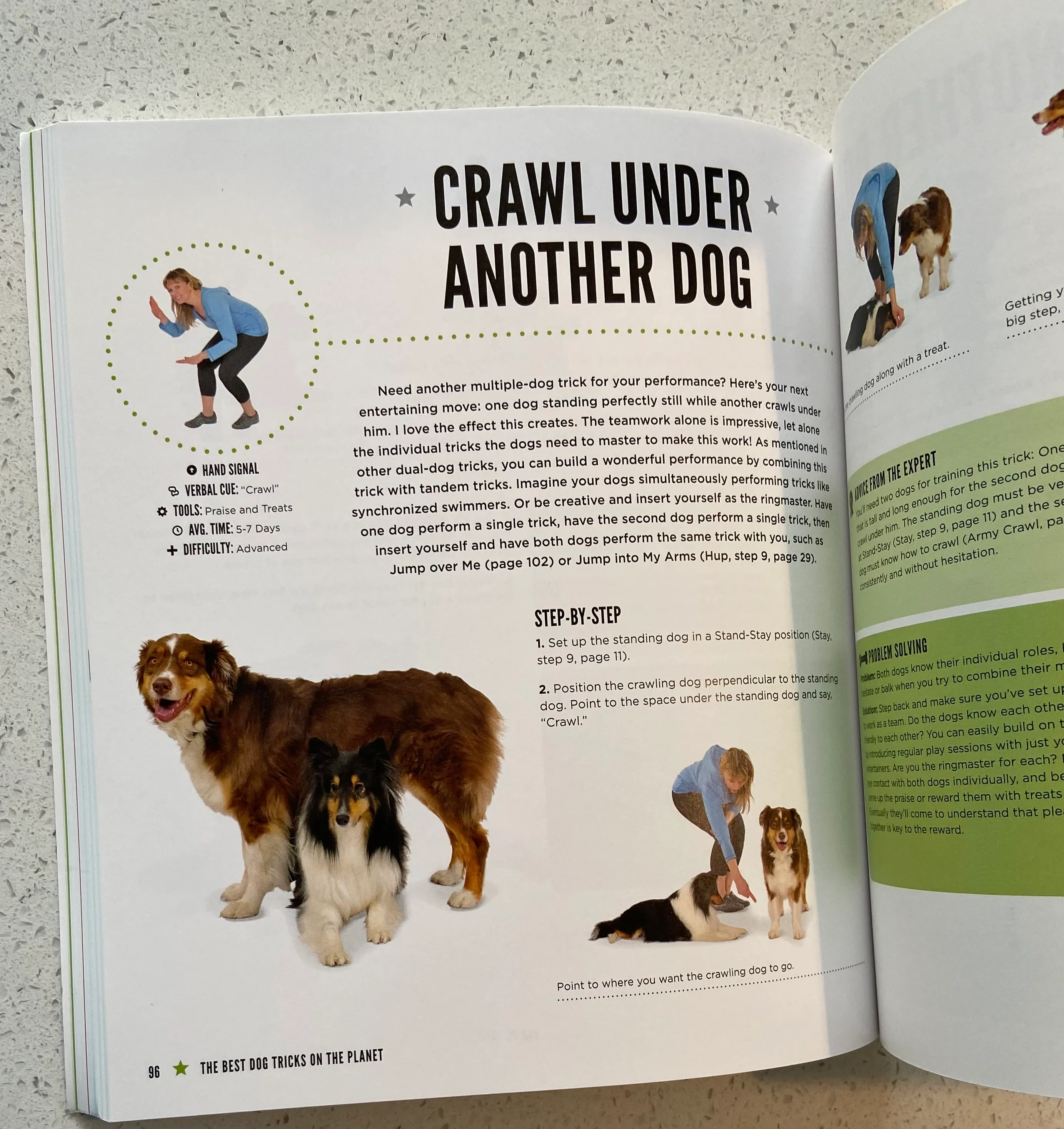 The Best Dog Tricks on the Planet: 106 Amazing Things Your Dog Can Do on Command - Image 5
