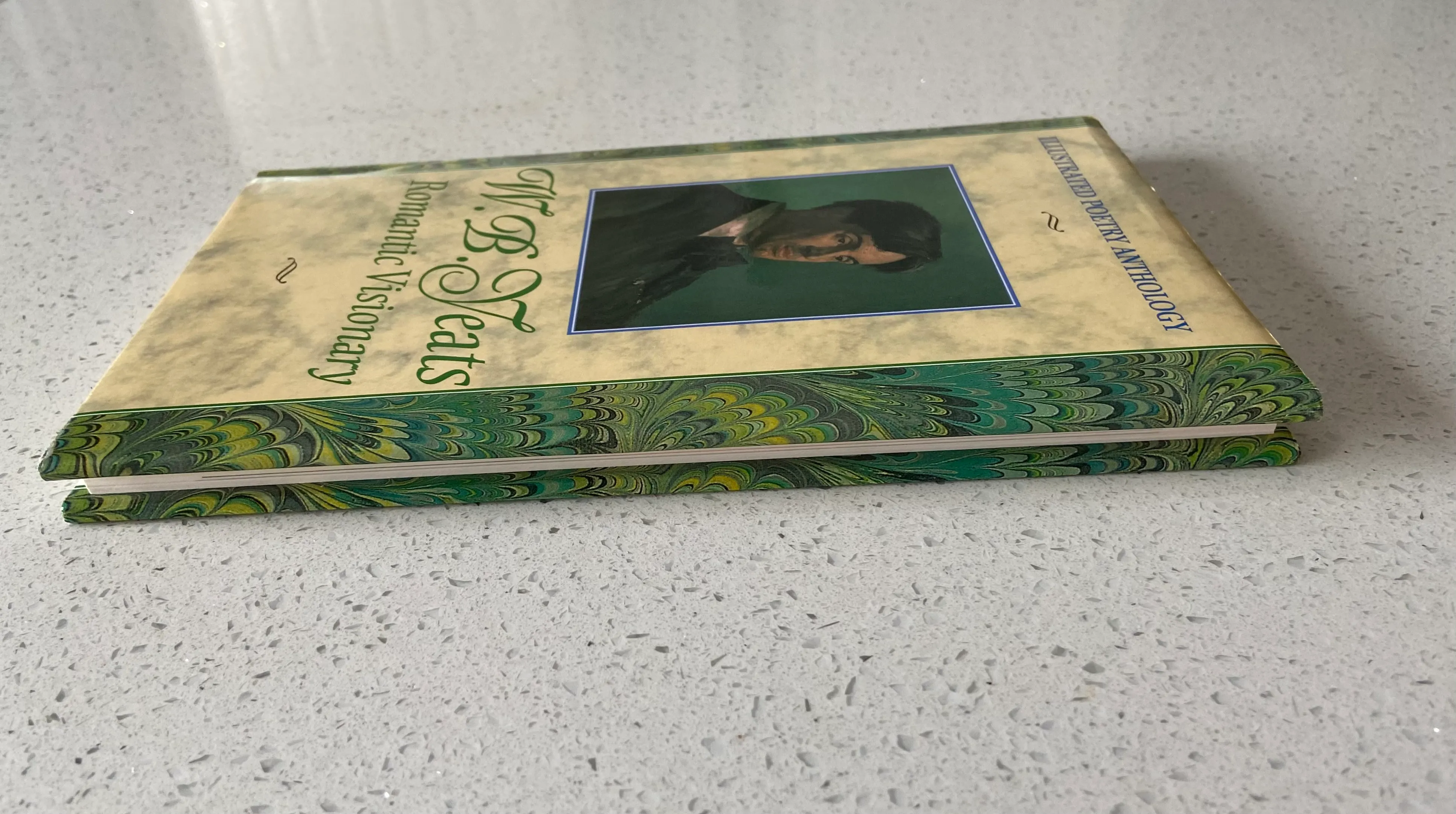 Illustrated Poetry W B Yeats: Romantic Visionary (Illustrated Poetry Anthology) - Image 3