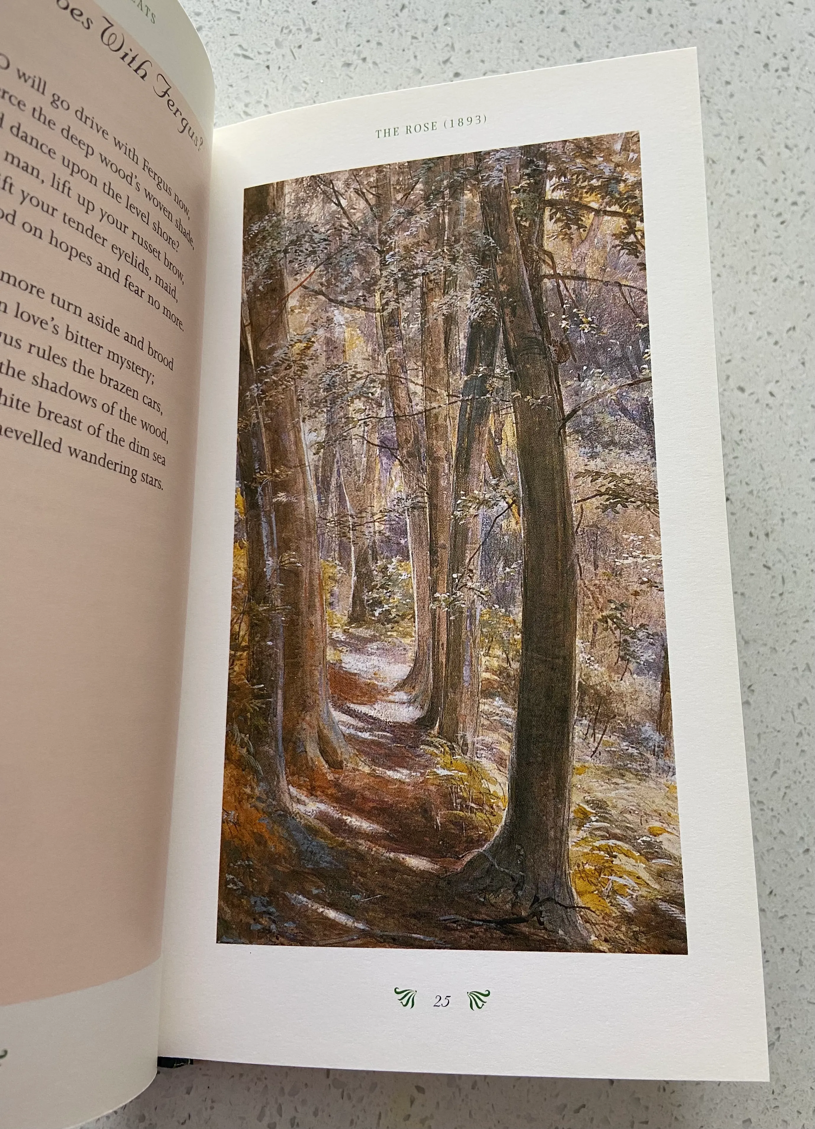 Illustrated Poetry W B Yeats: Romantic Visionary (Illustrated Poetry Anthology) - Image 5