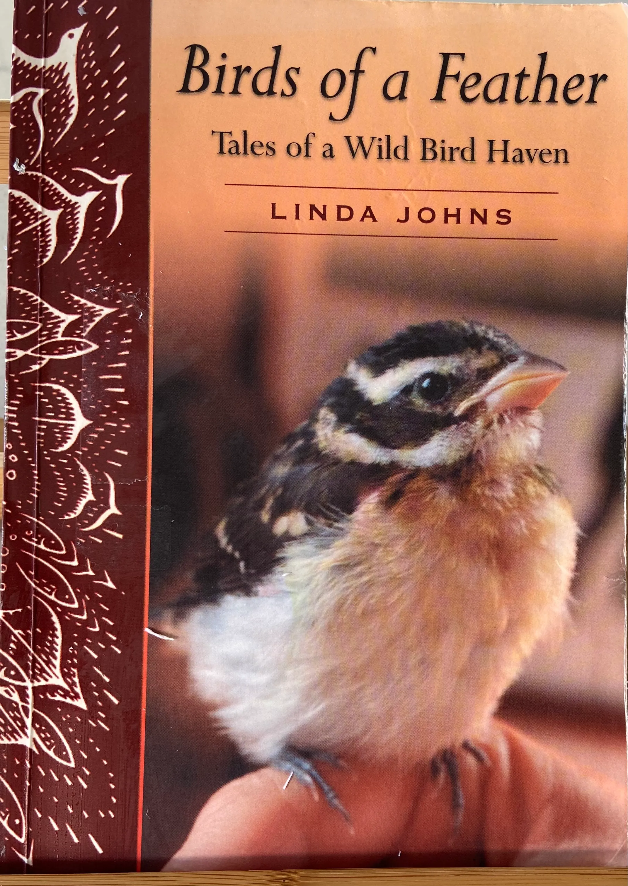 Birds of a Feather: Tales of a Wild Bird Haven