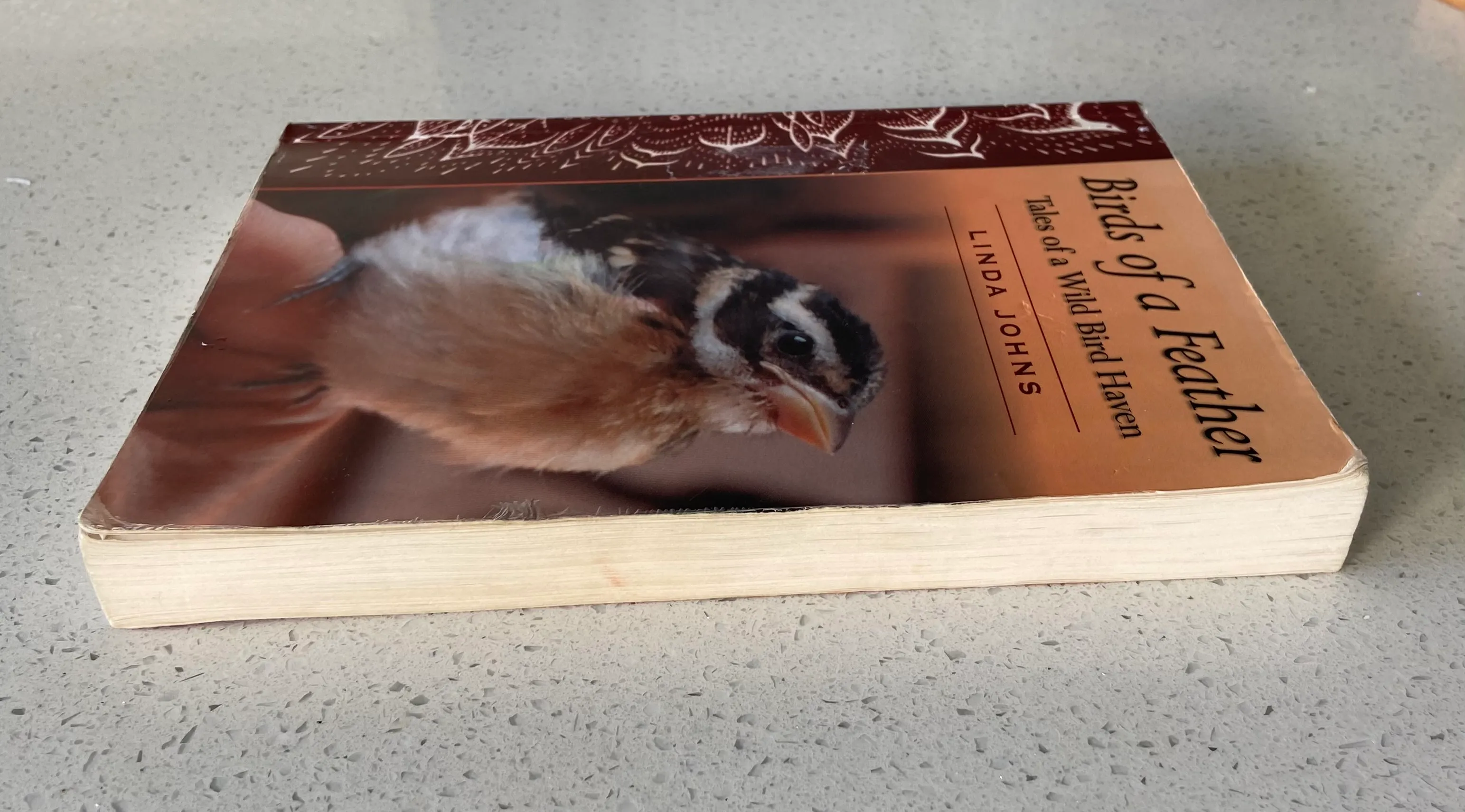 Birds of a Feather: Tales of a Wild Bird Haven - Image 3