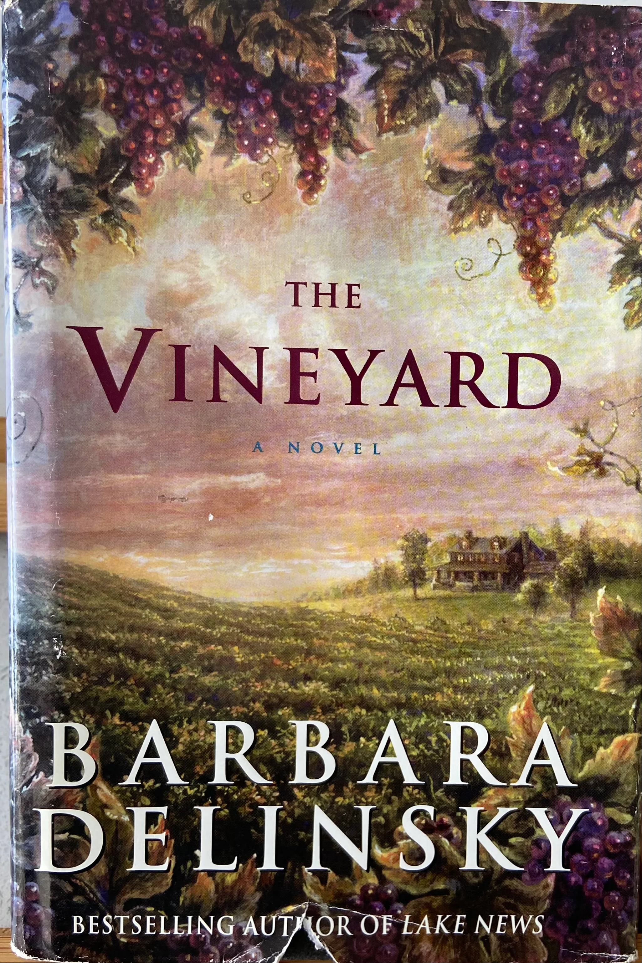 The Vineyard