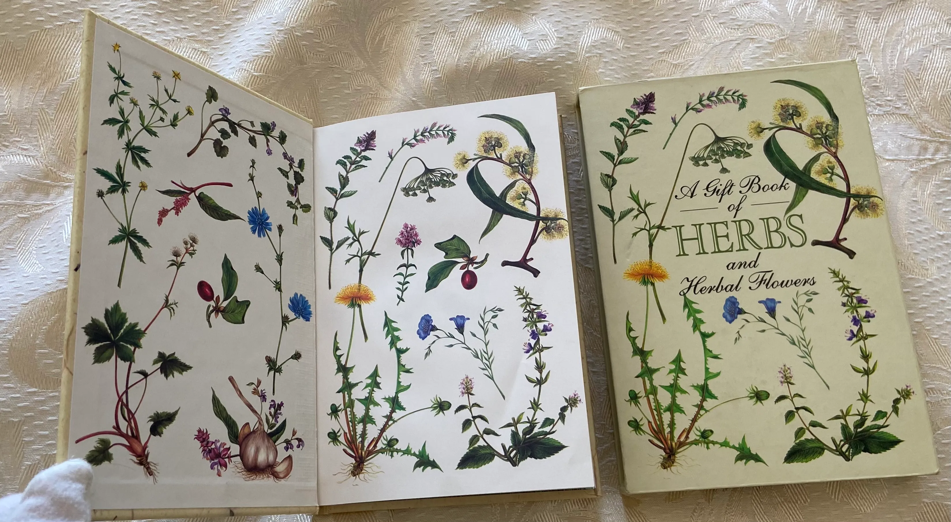 A Gift Book of Herbs and Herbal Flowers: A Collection/Book in Slipcase - Image 3