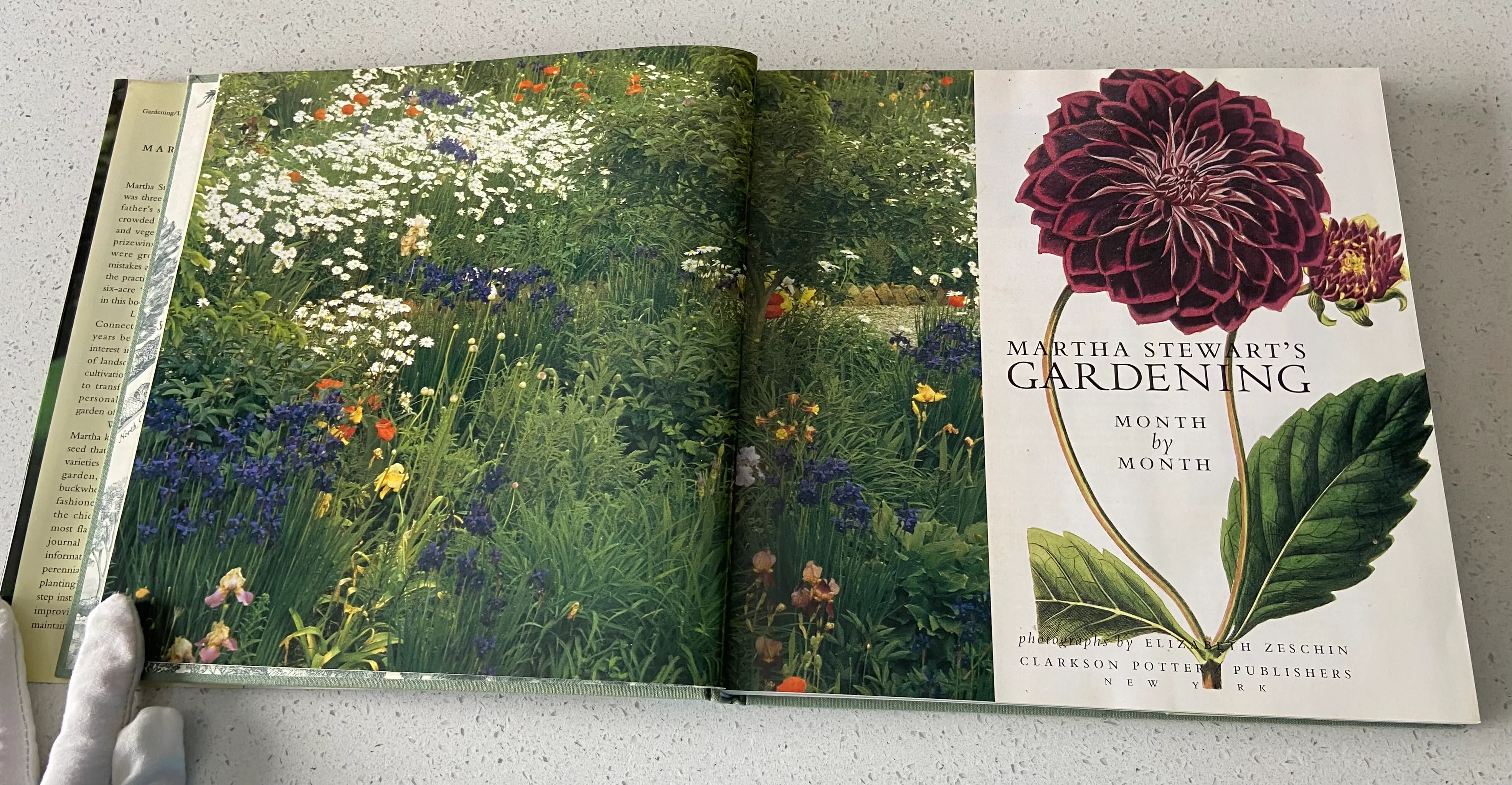 Martha Stewart's Gardening: Month by Month - Image 5