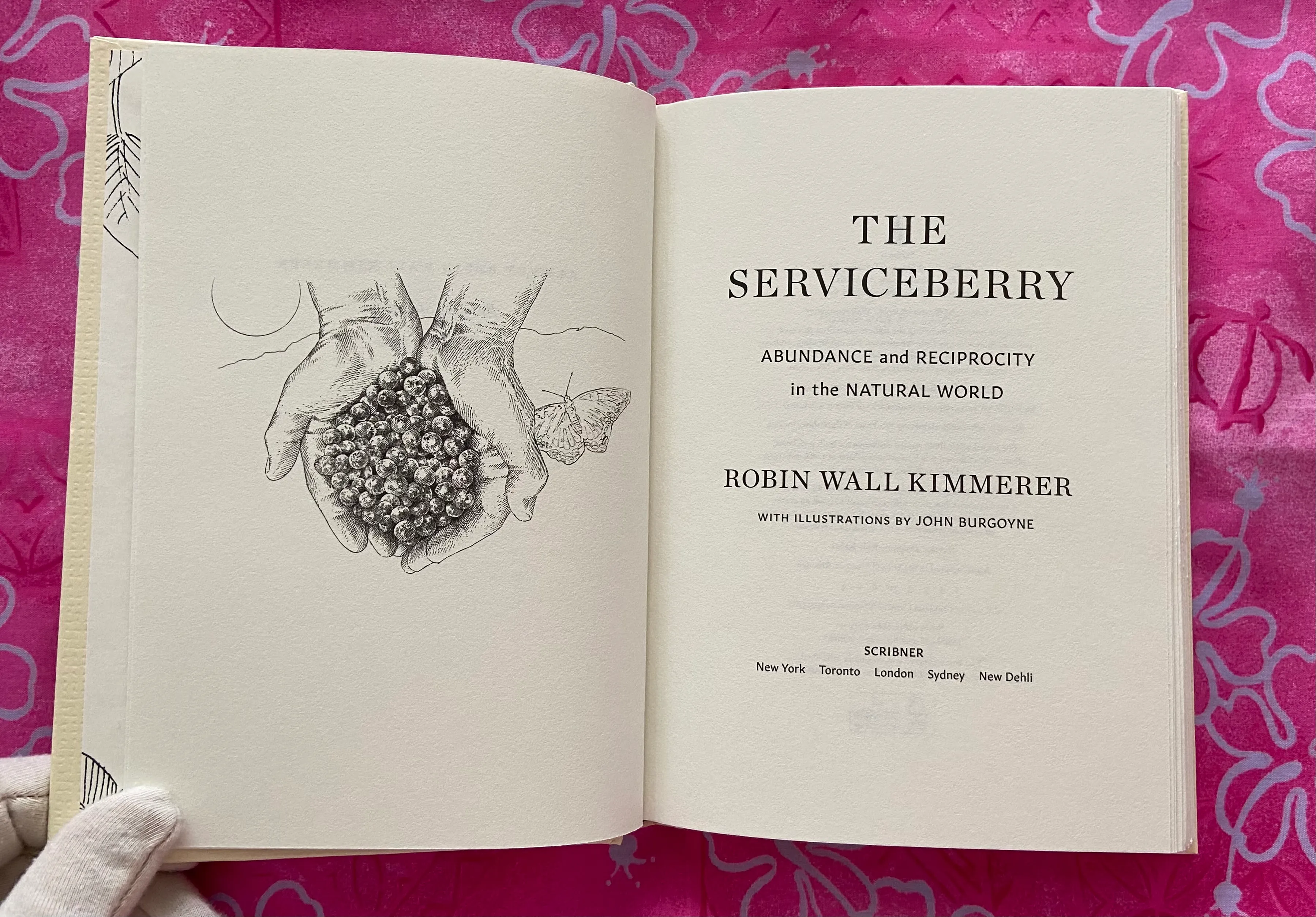 The Serviceberry: Abundance and Reciprocity in the Natural World - Image 4